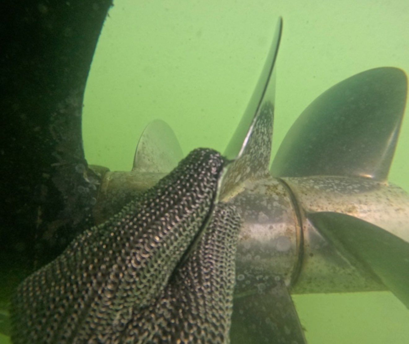Florida Hull Cleaning - Divers | Fort Myers, Cape Coral, Naples, Venice featured photo.