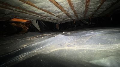 Project in Portland