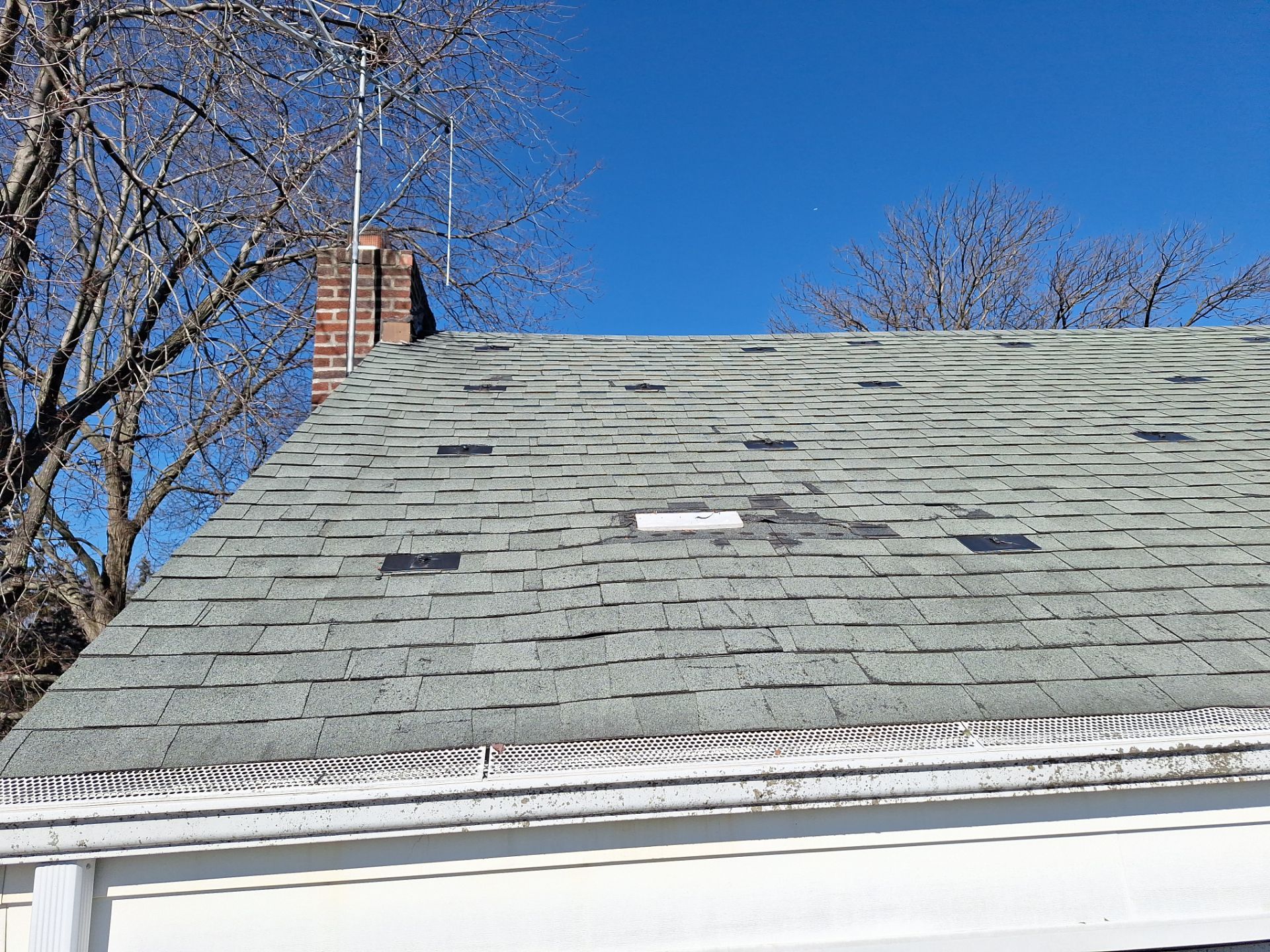 Onyx Black Shingles by Reimagine Roofing