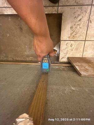 Mold Restoration In Bradenton 