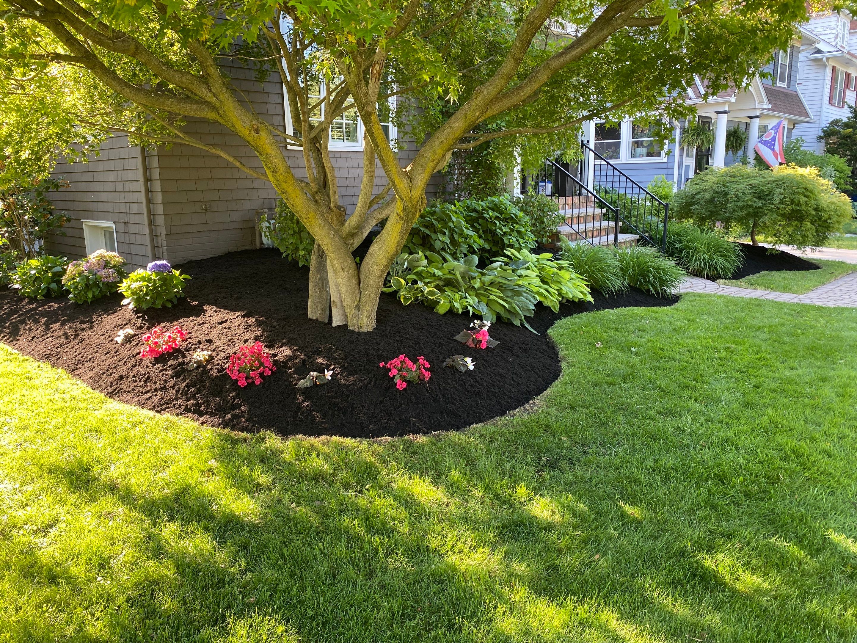 Pollinator Paradise Project by Elm Rose Gardens