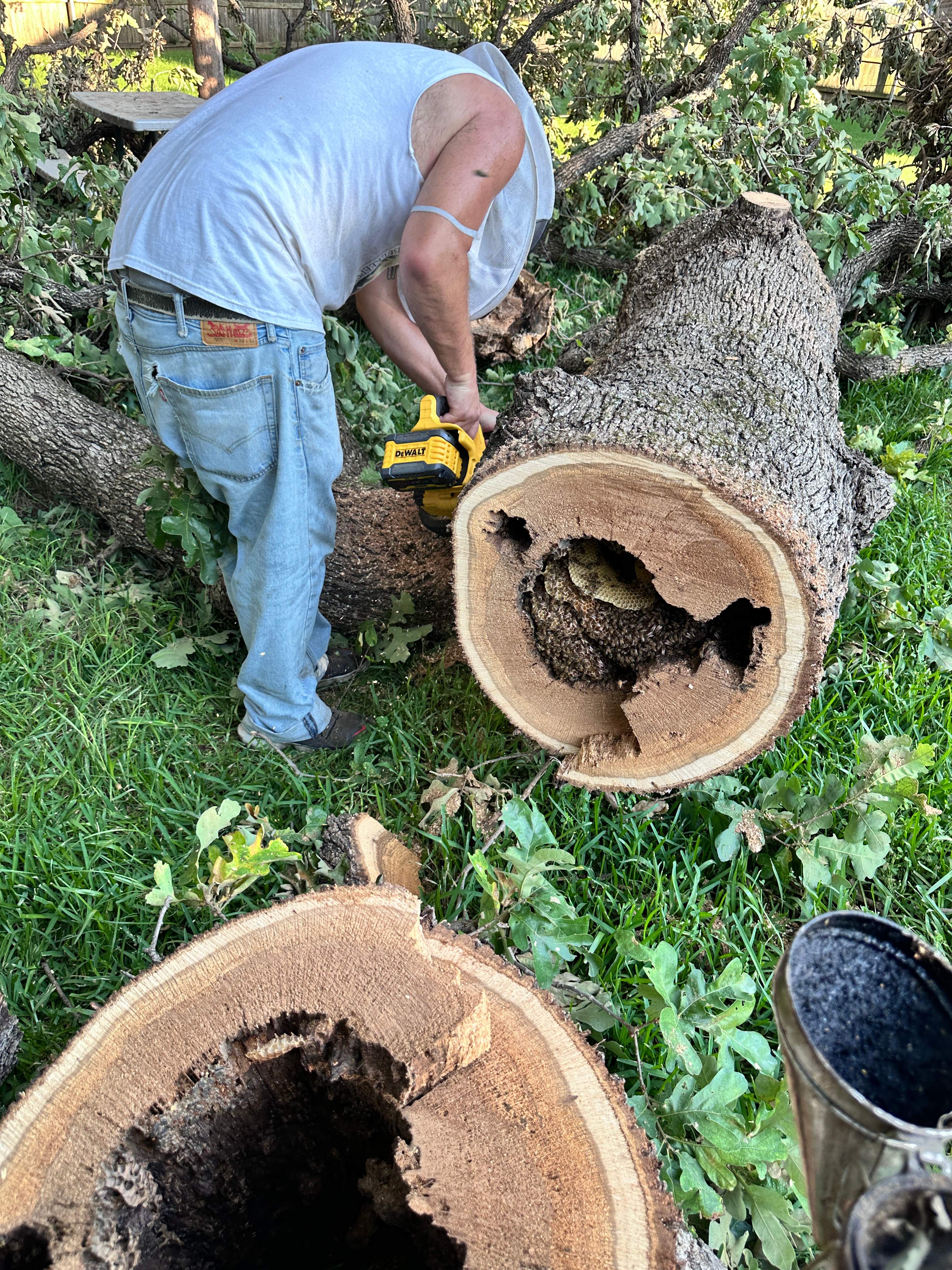 Wina-tree-go by Rockwall Honey Bee Company