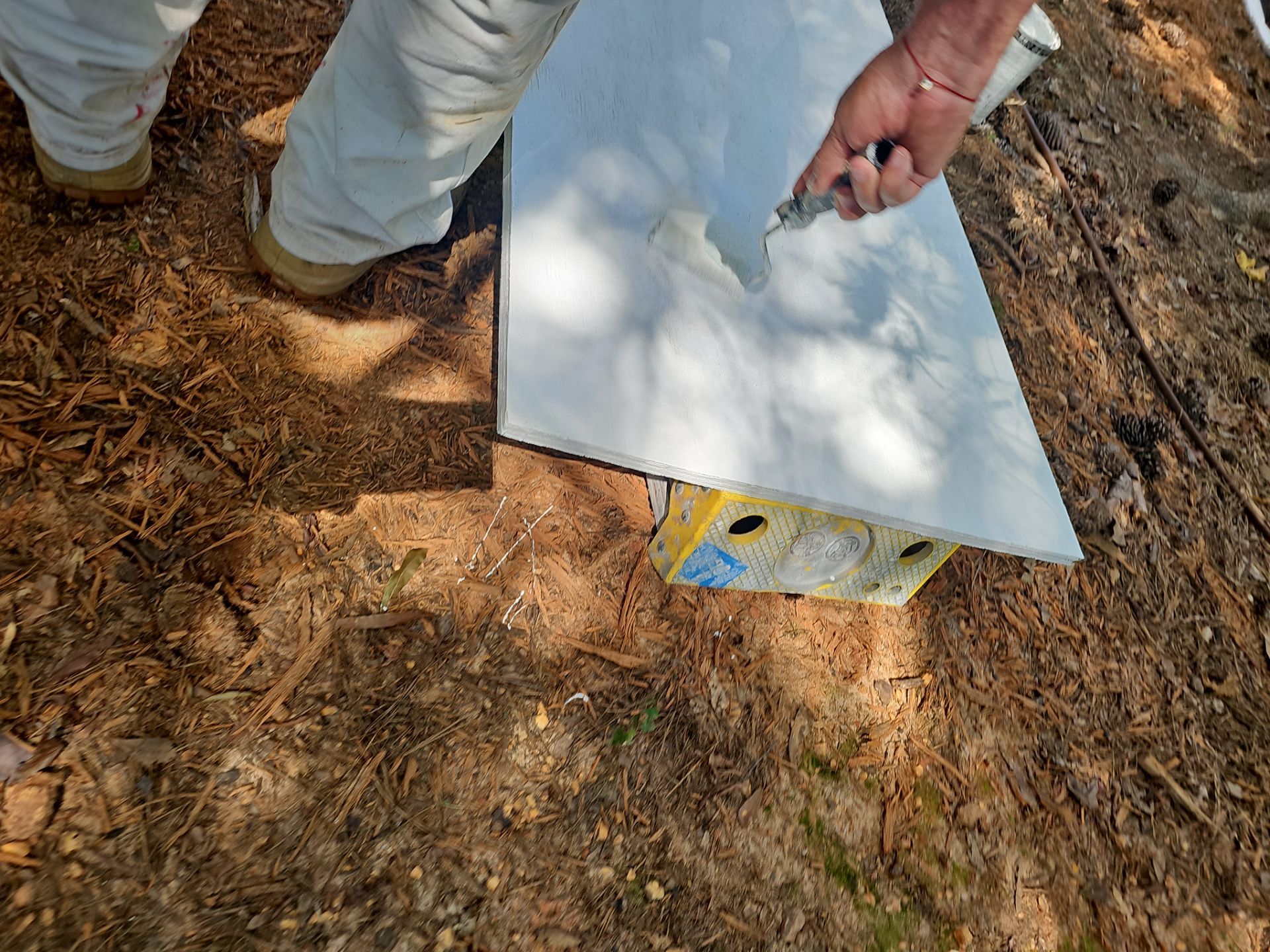 Exterior Transformation in Jonhs Creek by Atlanta's Paint Doctor