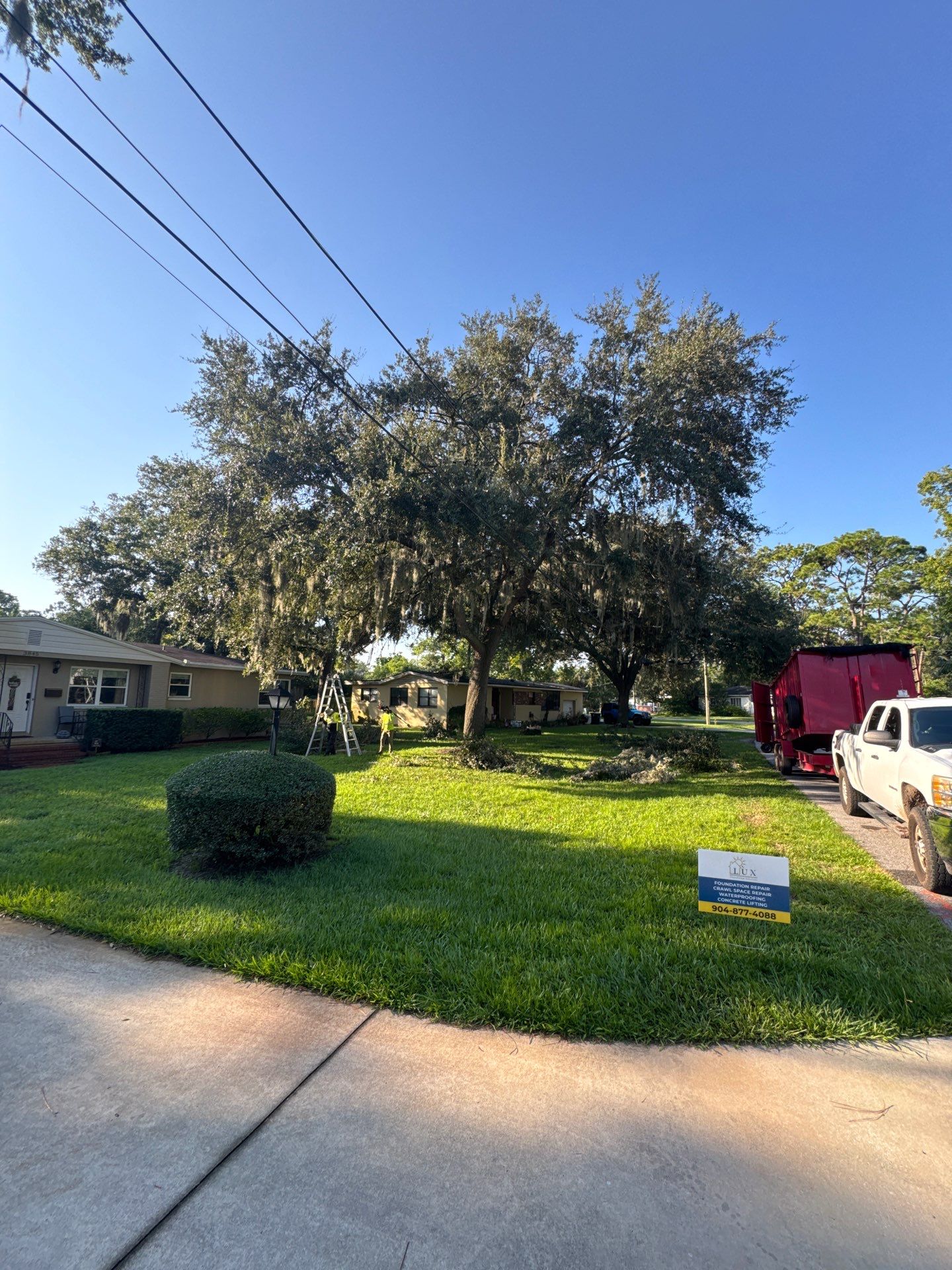 Residential | Tree Trimming  by ProGreen Services