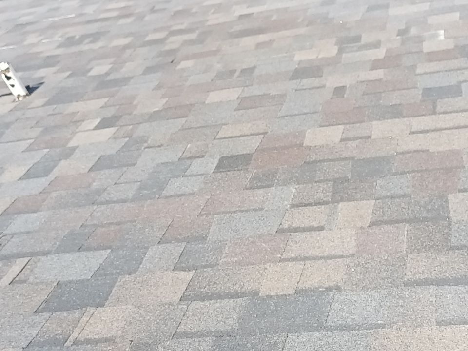 Island Tile Exorcist by Bayfront Roofing and Construction