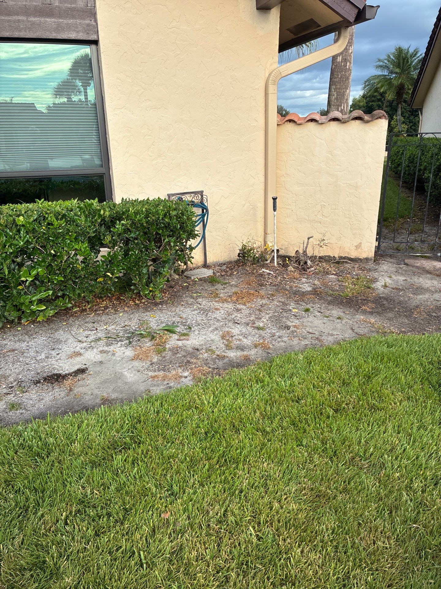 🌴 "Ibis Point Refresh - Palm City Curb Appeal" by Alpha Zeta Enterprises Inc