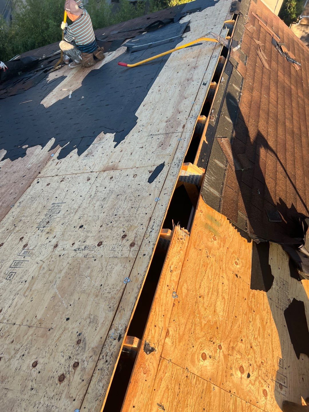 Shakewood Shingles by Reimagine Roofing