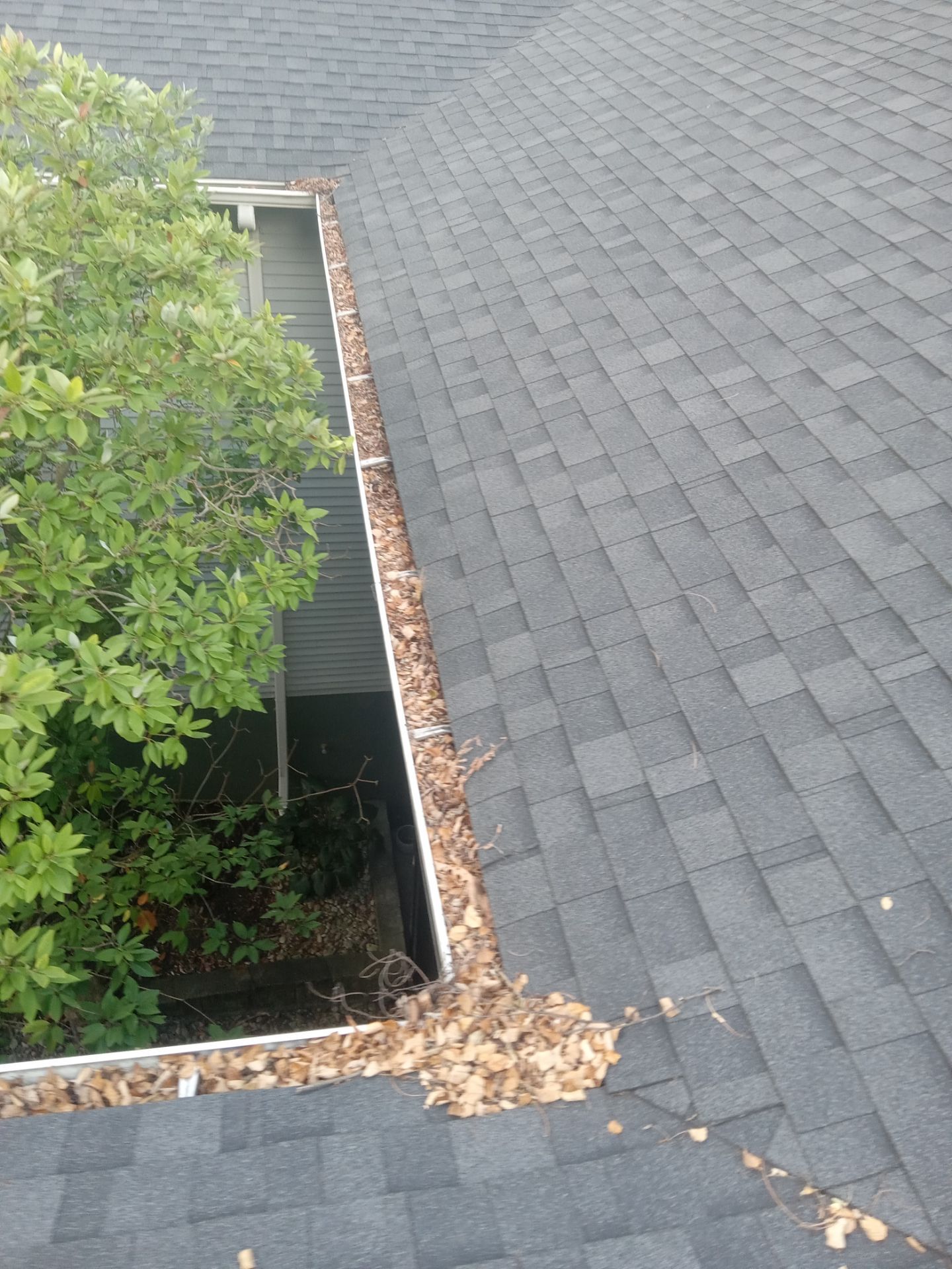 Commercial gutter cleaning Cincinnati before photo with filled gutters