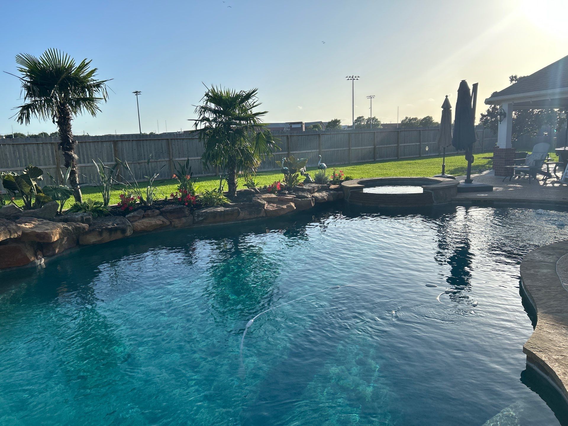 🌿 Larry Caudillo’s Poolside Landscape Revamp by Texas Urban Elements