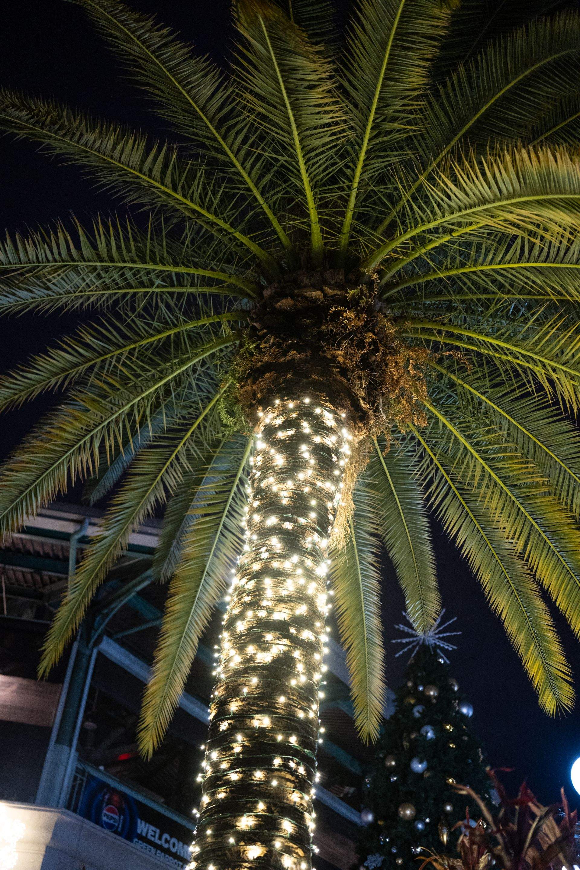 Centro Ybor Tower Tree by Elegant Accents