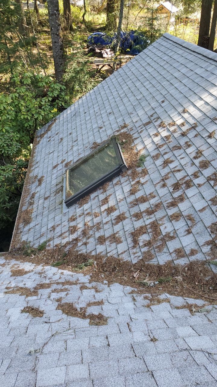 Roof Treatment using Surfactant and Biocide by Willamette Outdoor Wash LLC
