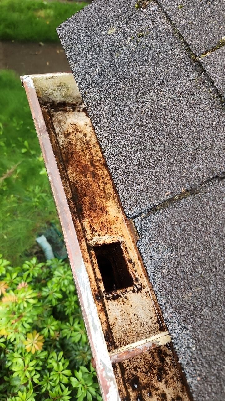 Moss Treatment using Biocide by Willamette Outdoor Wash LLC
