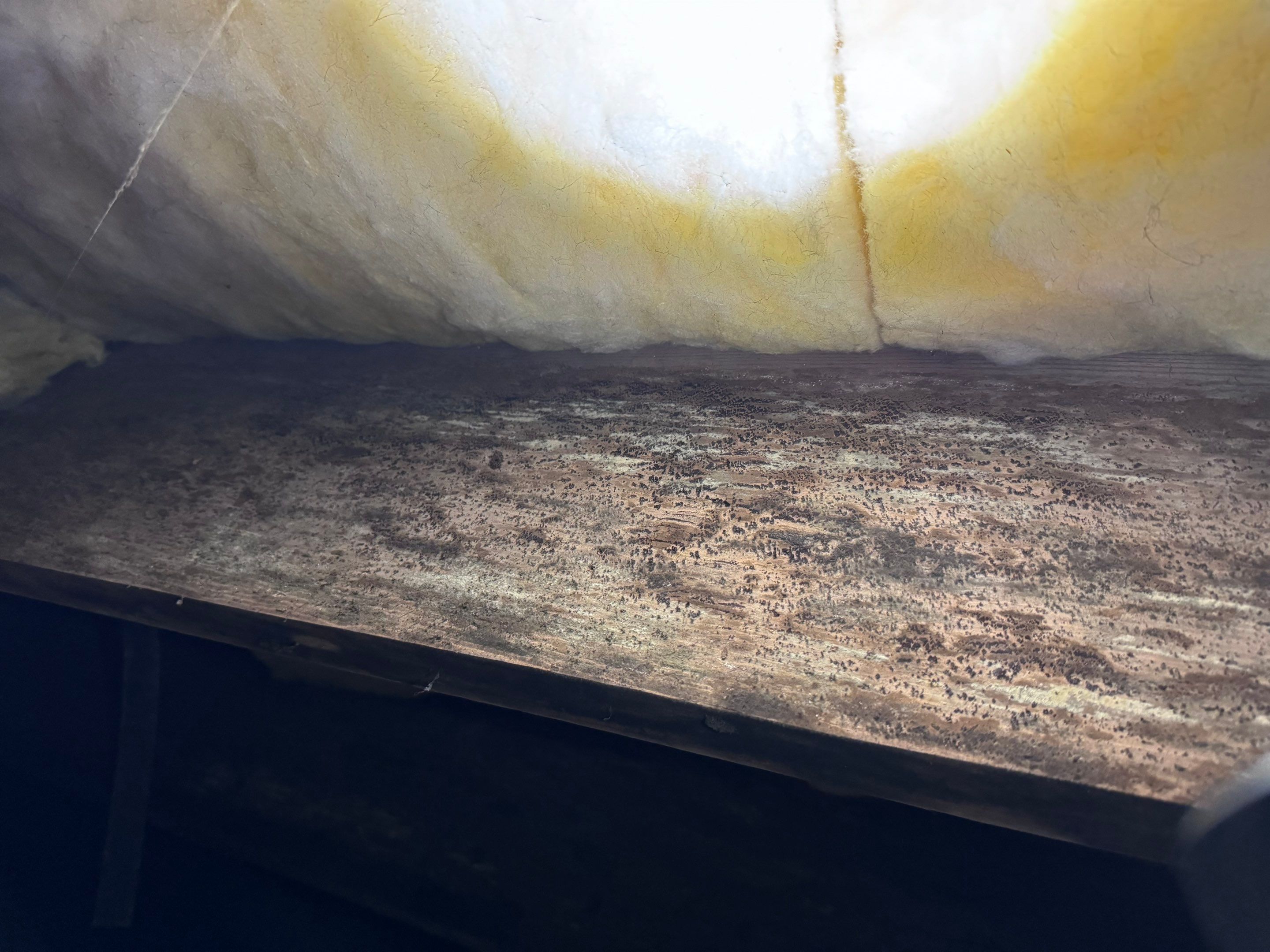 Impact Choice Encapsulation with 20Mil and Tri-Plex insulation. by Impact Crawlspace