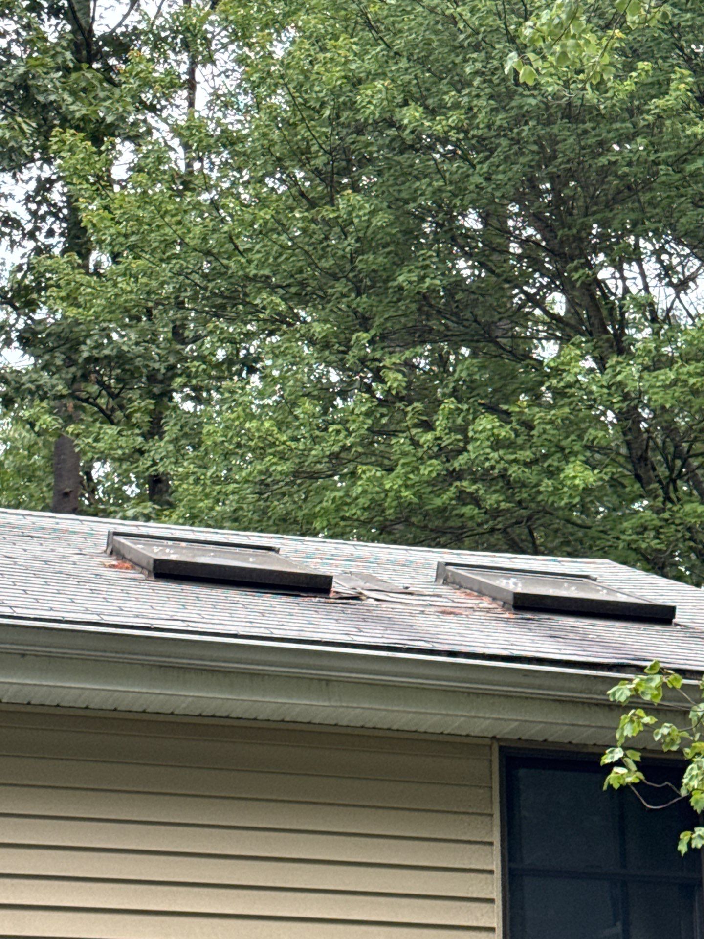Skylight Replacement & Re-Flashing – Wilmington, MA by Mighty Dog Roofing of Greater Middlesex County