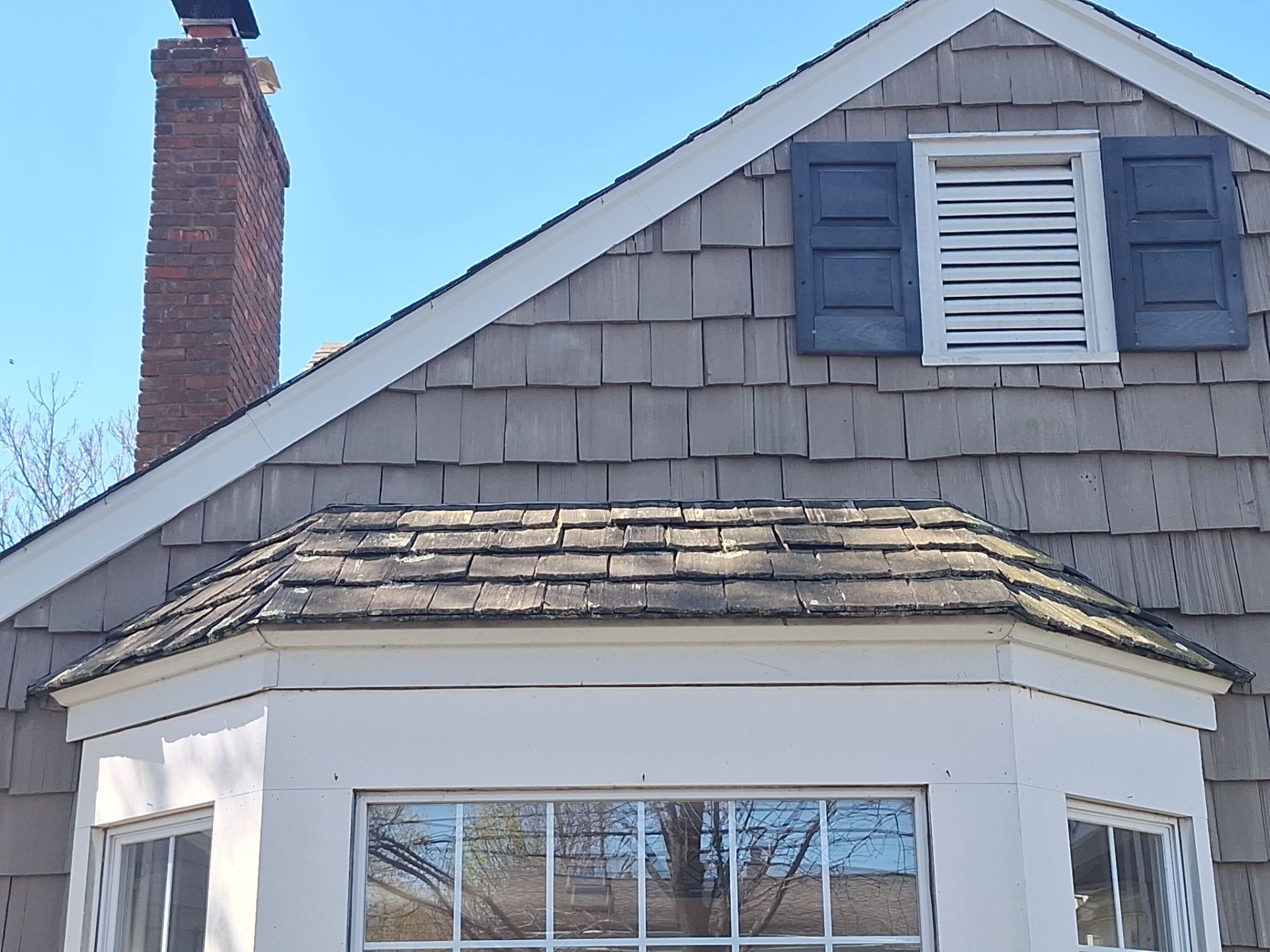 Silver Birch Shingles by Reimagine Roofing