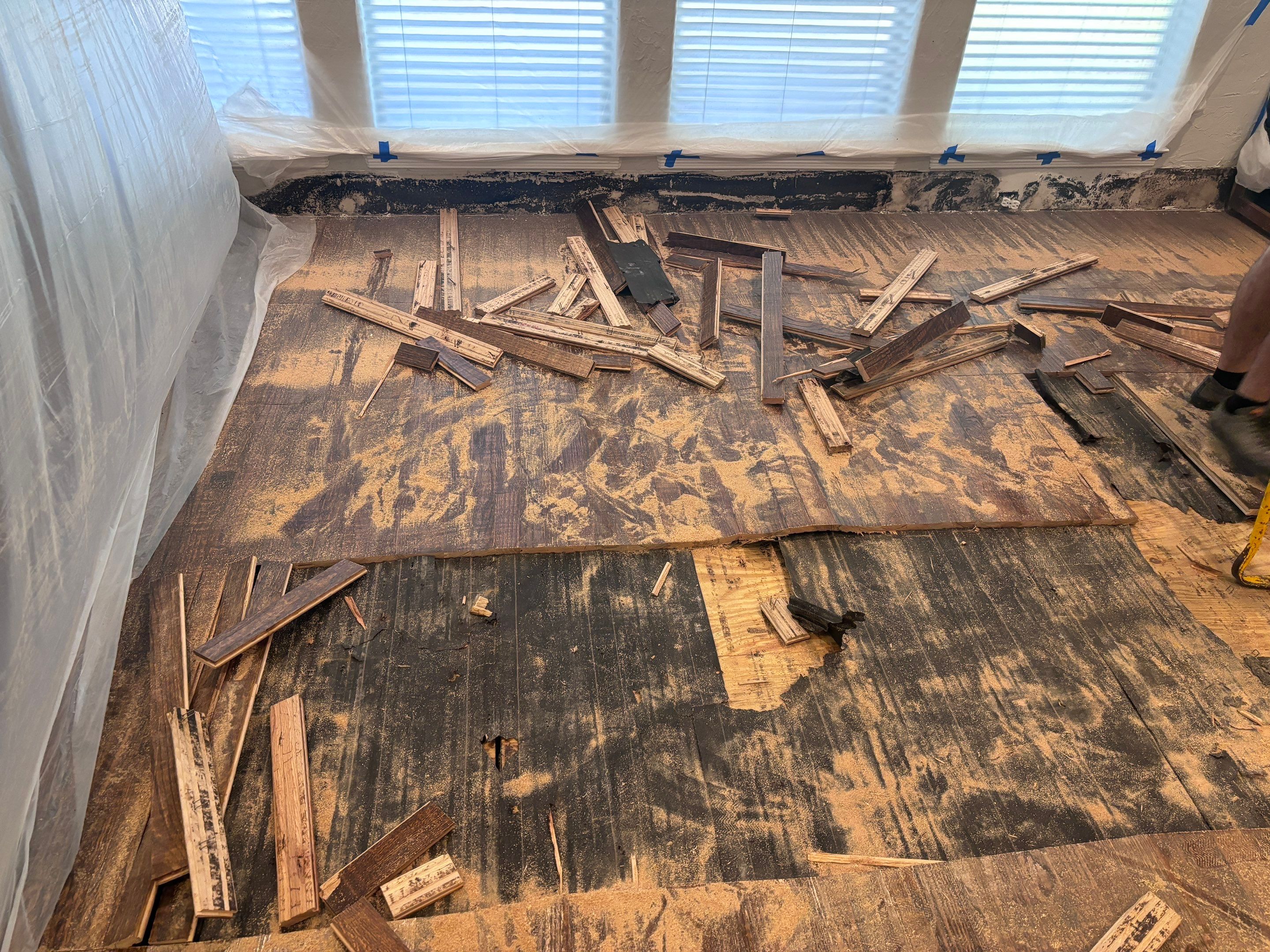 In Progress - Repairing wet Hardwood Floors in Colleyville by Bernard Hardwood Floors
