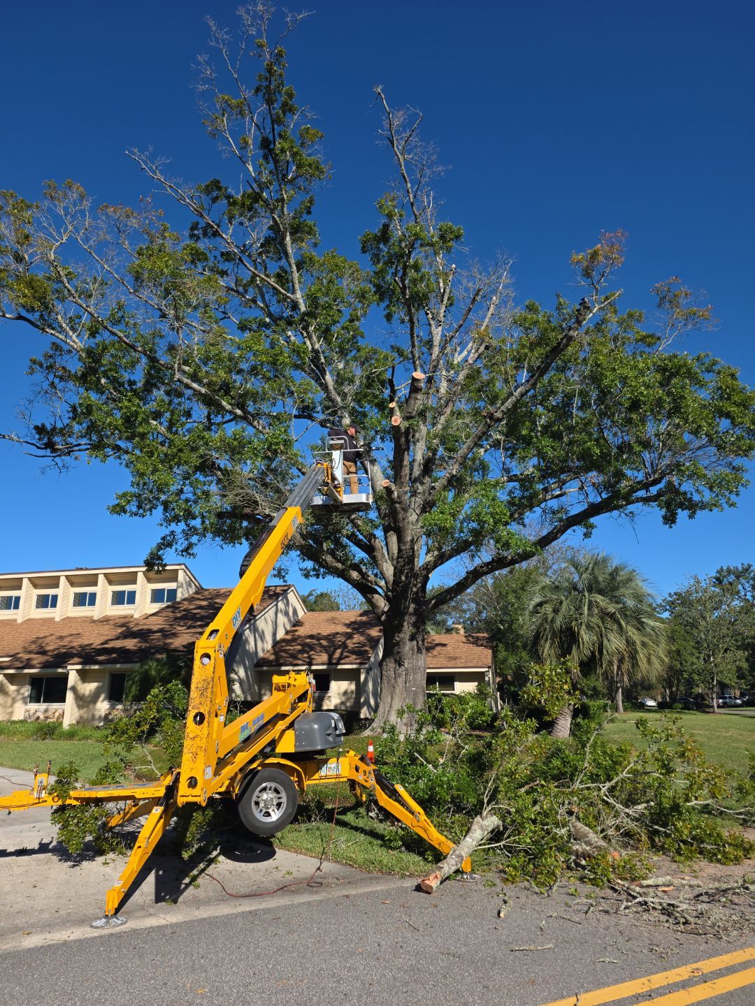 Deerwood Resident | Tree Removal & Stump Grinding by ProGreen Services