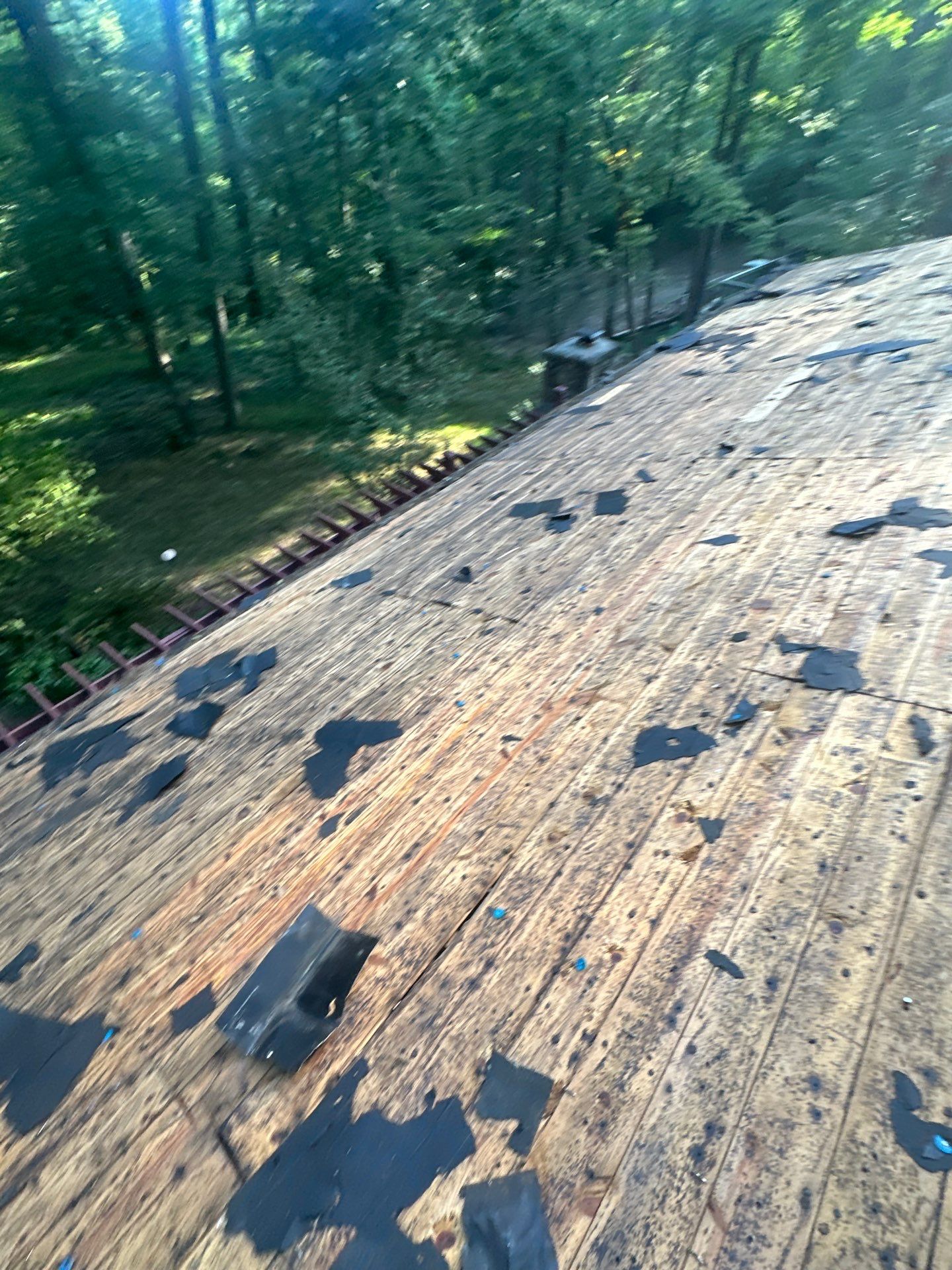 Morabit Clemson by United Contracting and Roofing