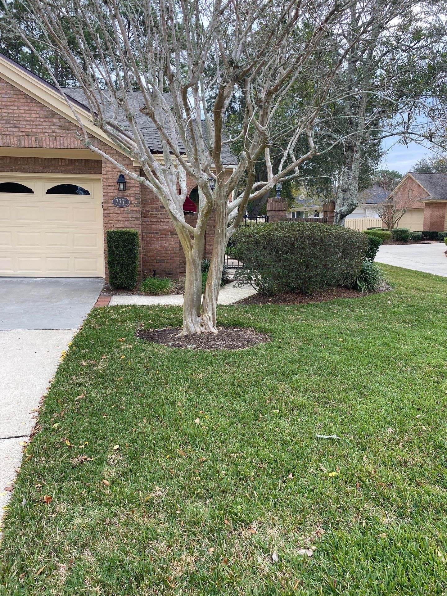 Deerwood Pointe | Tree Removal & Pine Straw Installation by ProGreen Services