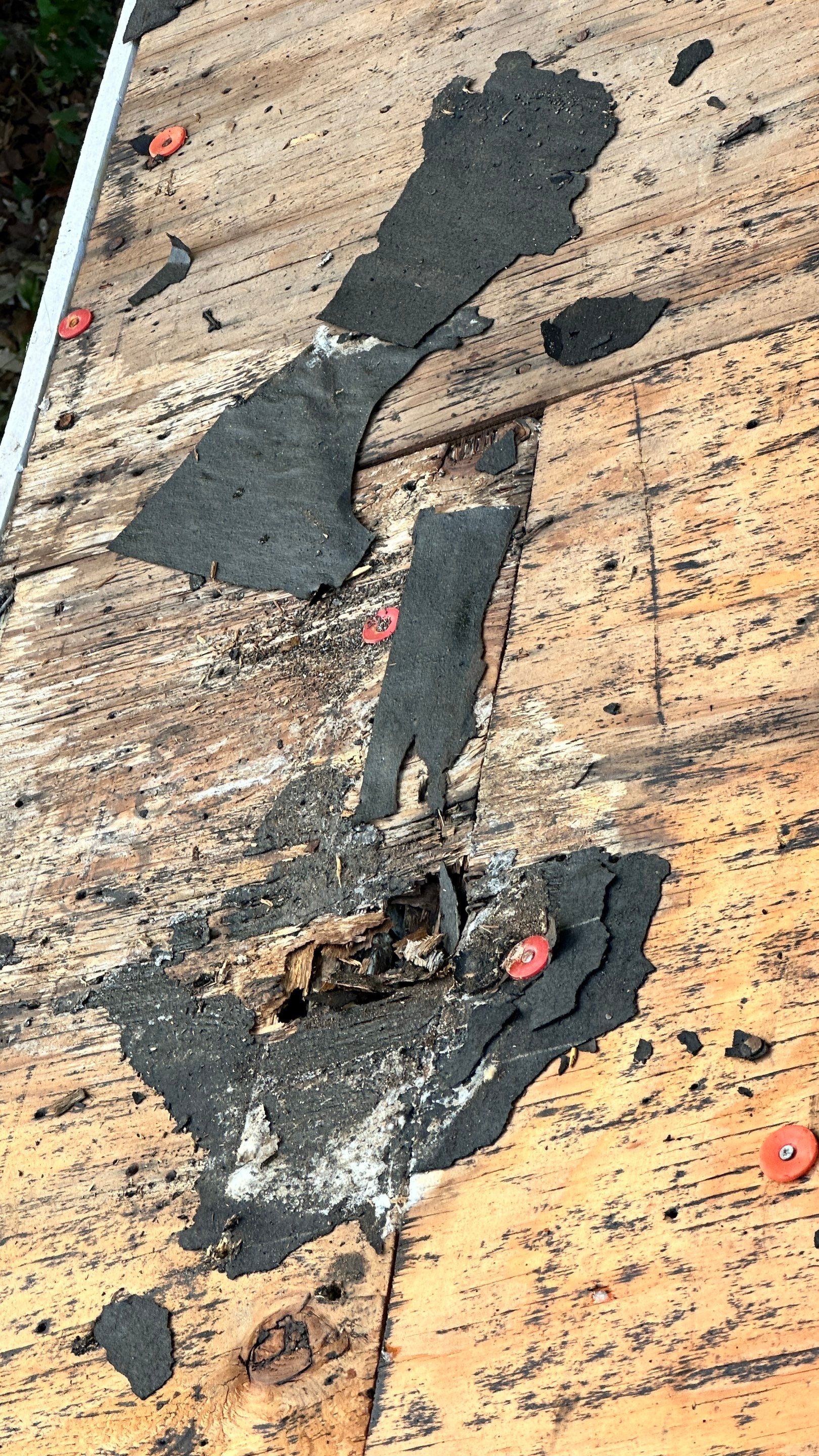 Complete Roof Replacement with Ridge Detail — Humble, TX by PL Roofing & SB Roofing, LLC.