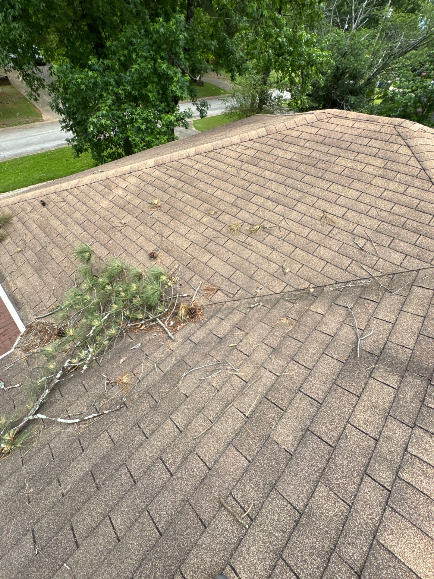 Shingle Replacement in Irondale (Barkwood) by The Roofing Dudes