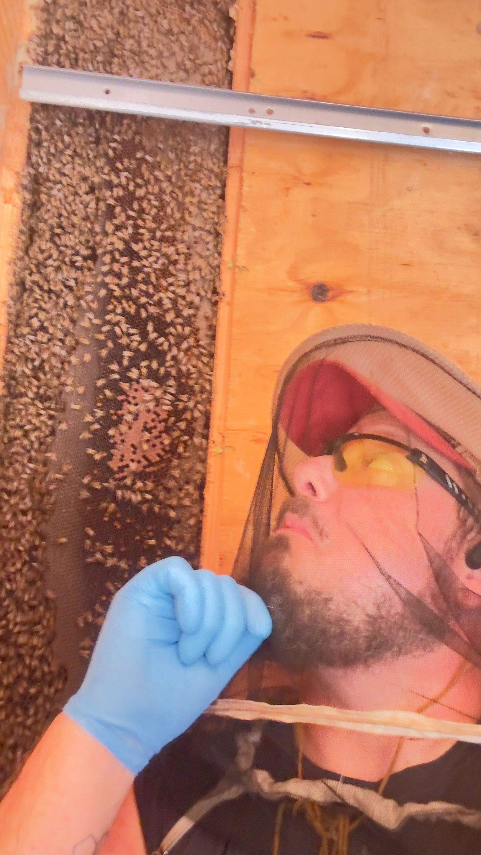 Shed Wall by Rockwall Honey Bee Company