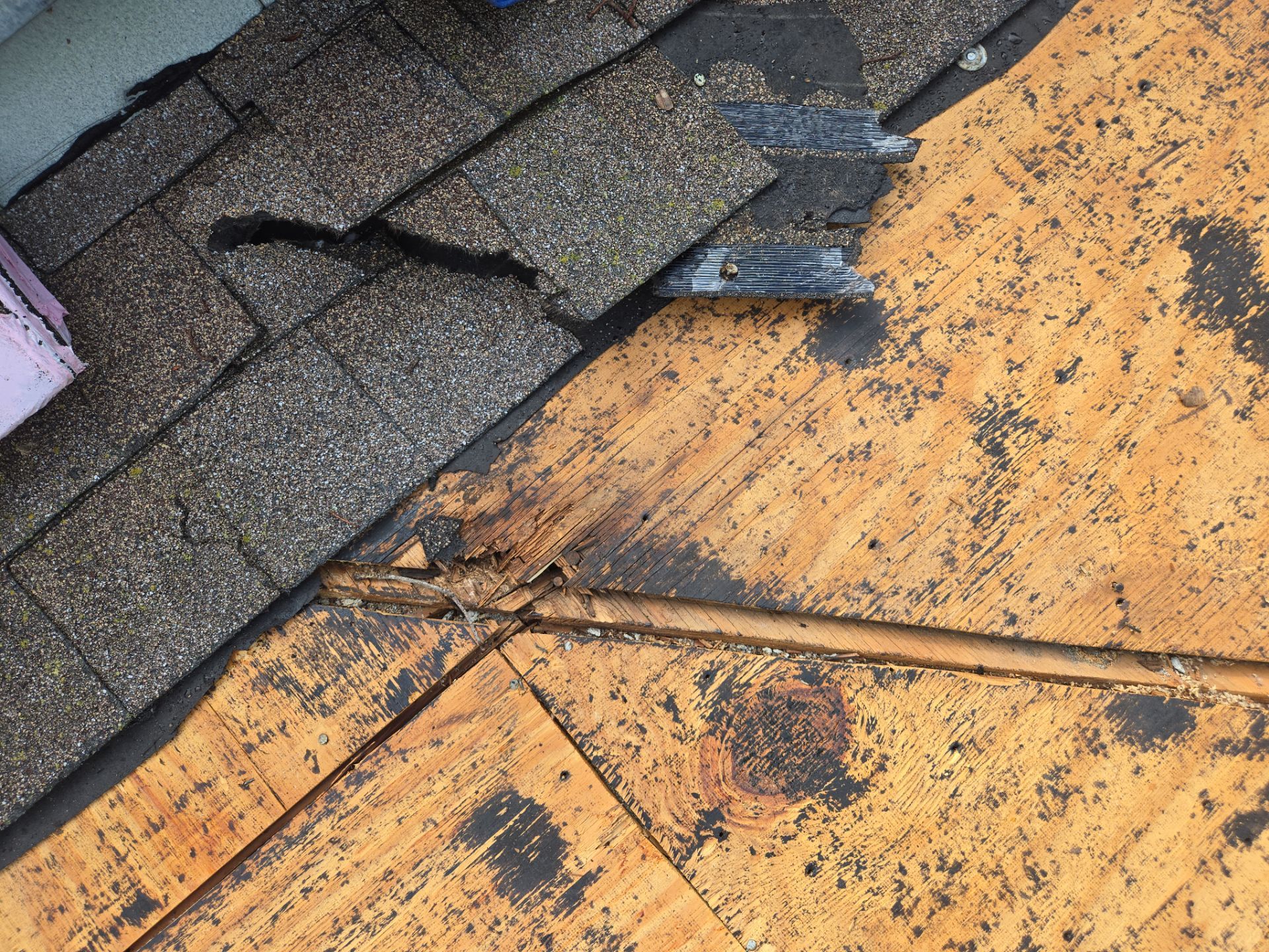 Project in Clearwater 33761 by Mitchell Roofing Company LLC 