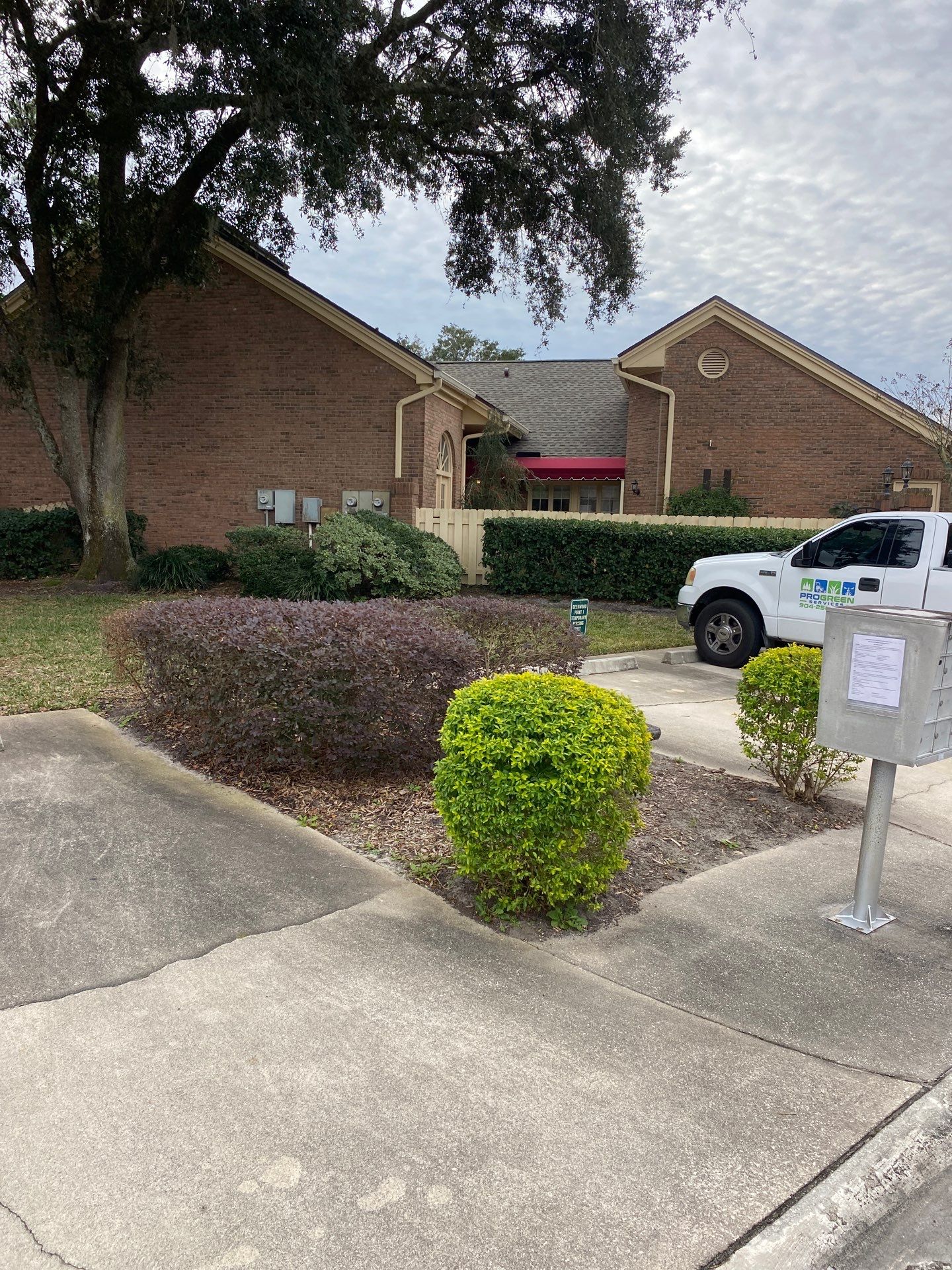 Deerwood Pointe | Tree Removal & Pine Straw Installation by ProGreen Services