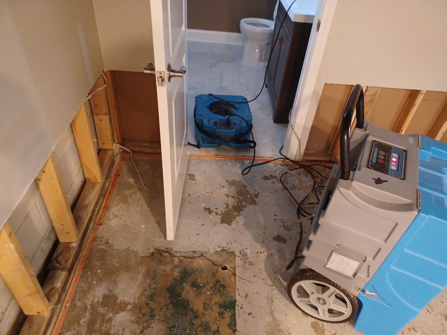 Project in Royal Oak by EzDry Water Mitigation & Property Restoration