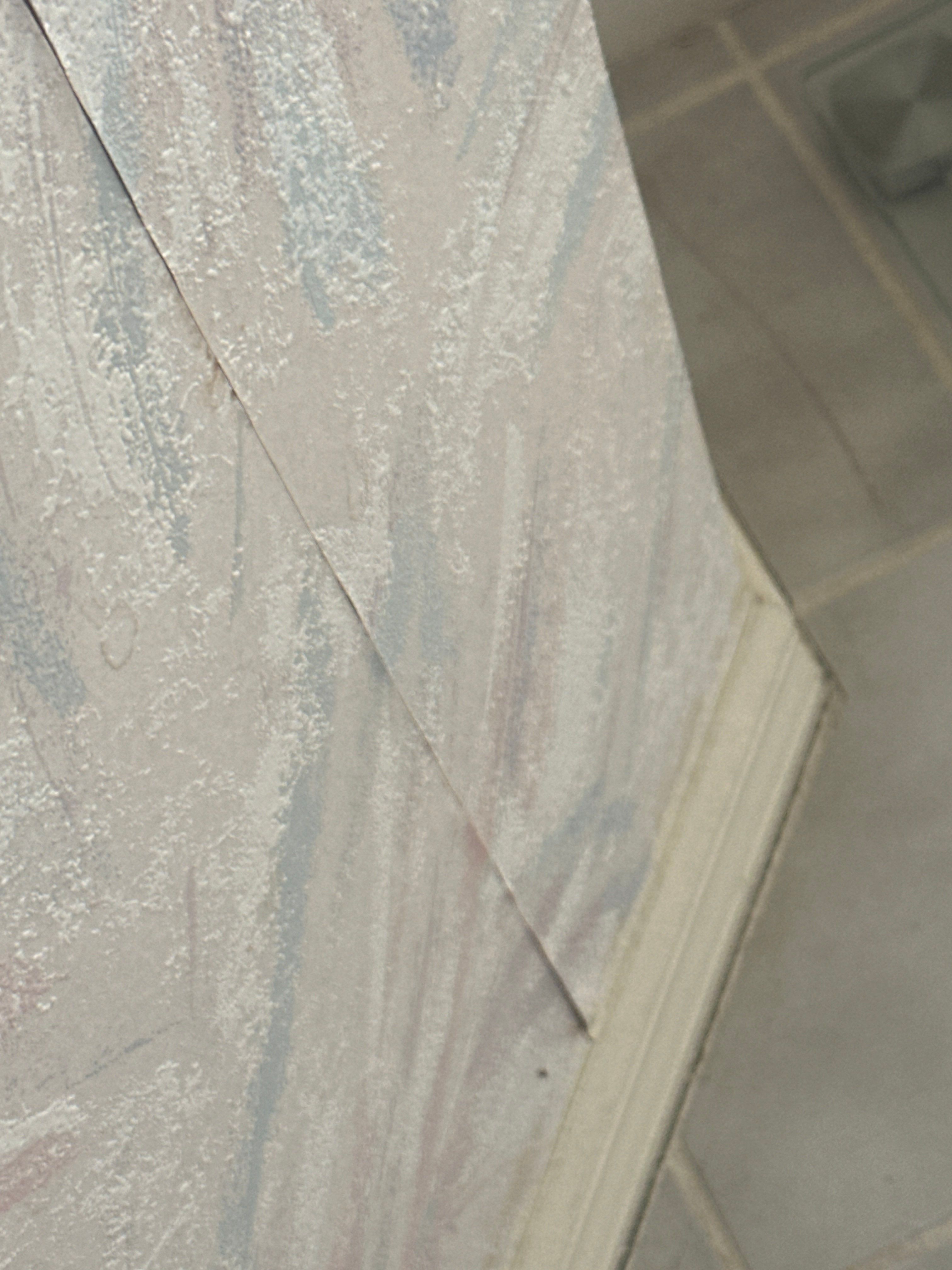 Lenny Van Denhandel - Interior by Fresh Coat Painters