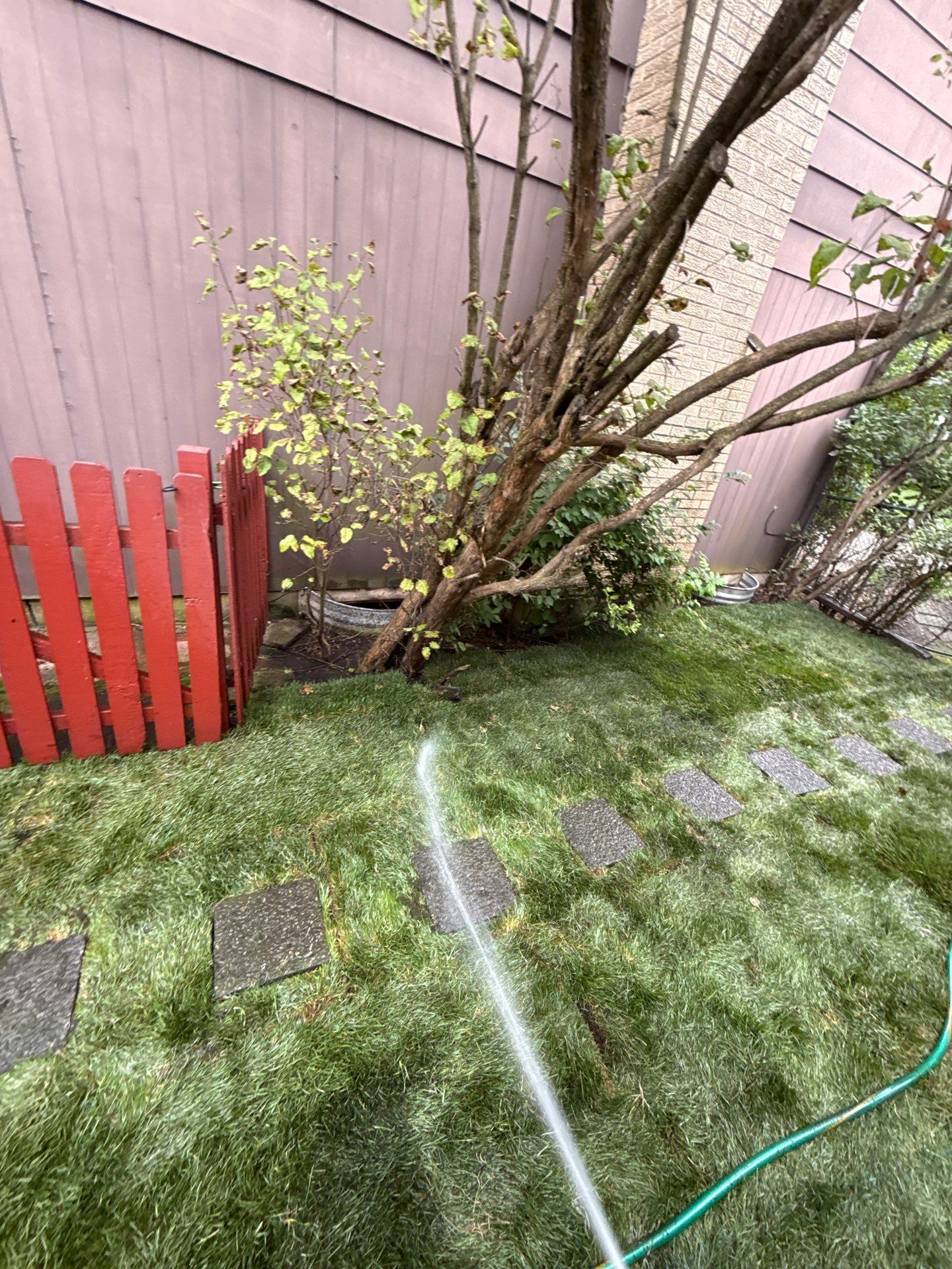 Helana M. - Mount Prospect, IL by A&N