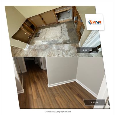 Mitigation and Repairs Project