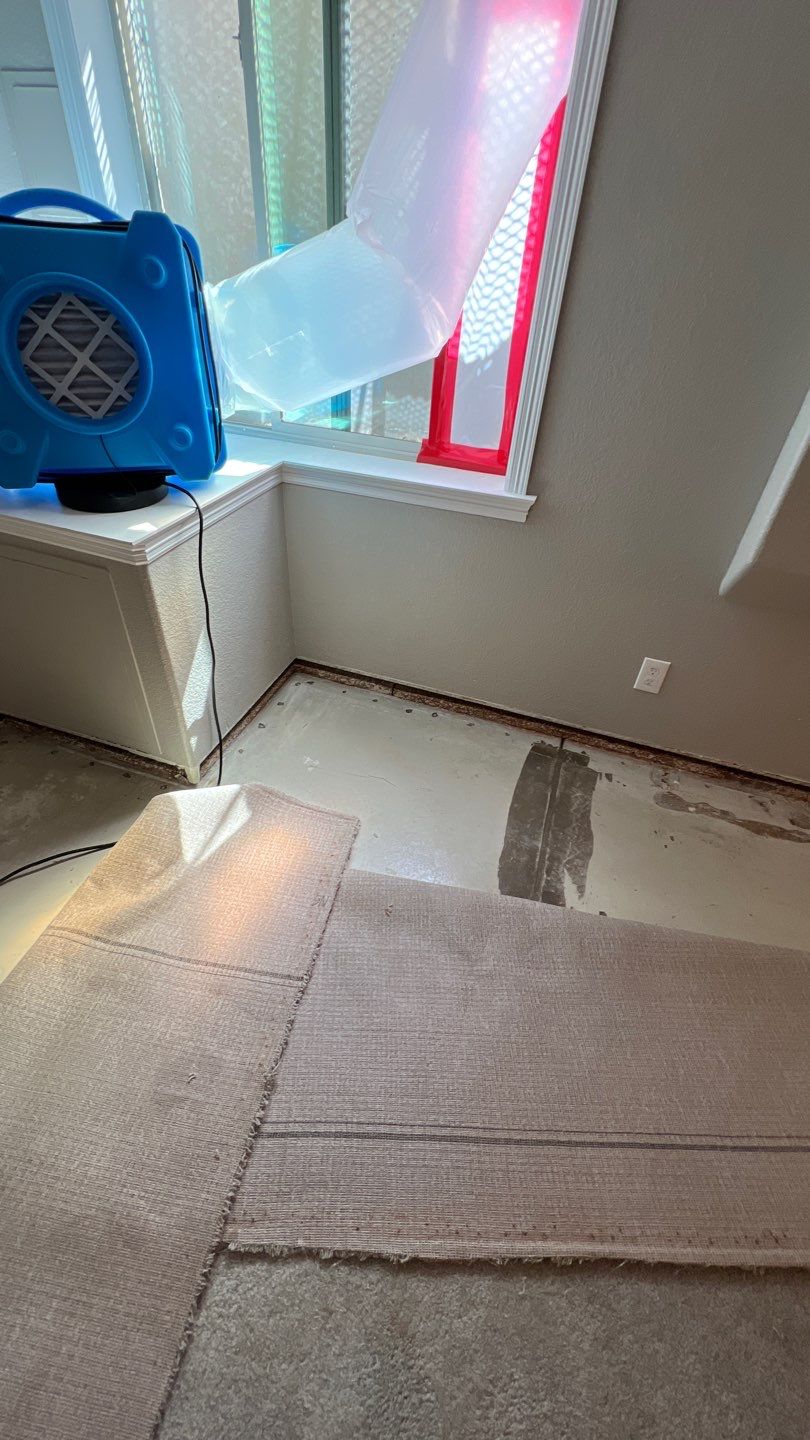 Mold Remediation  by Accountable Home Services