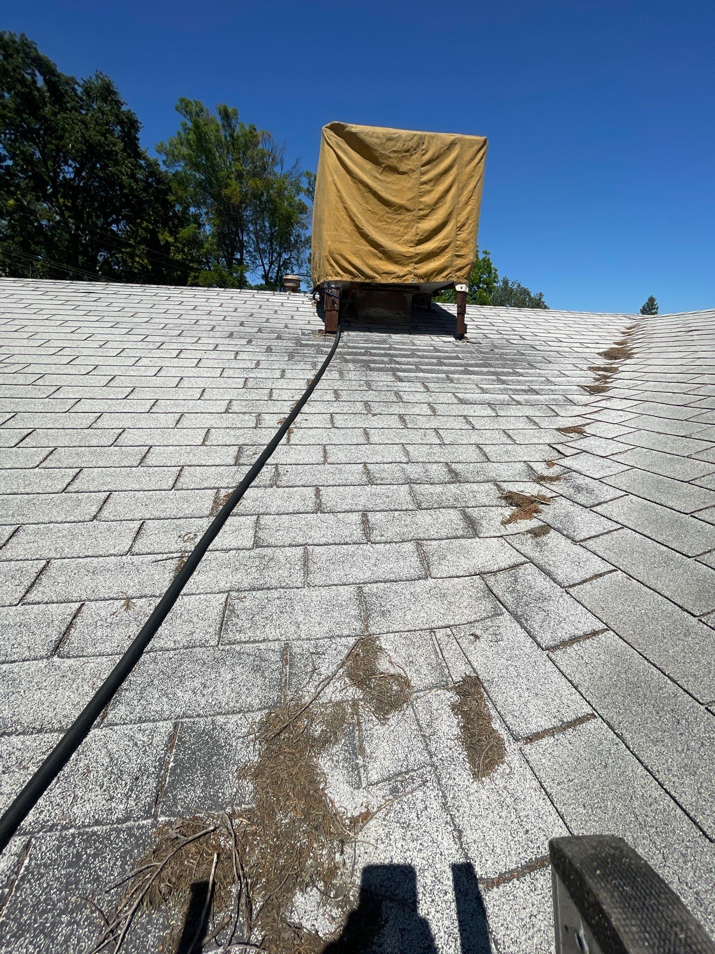 Roof Rejuvenation using Roof Maxx Treatment by Roof Maxx of Folsom