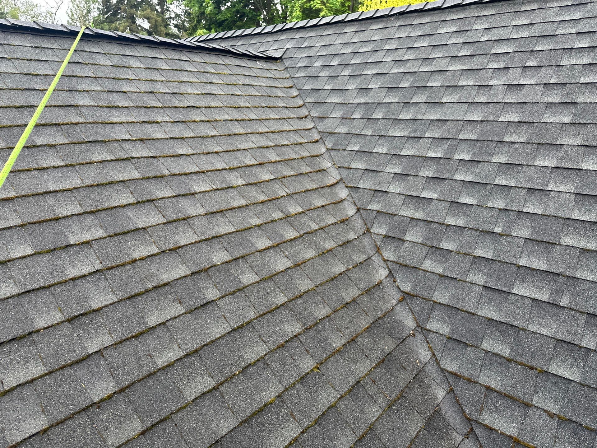 AGS Roof Wash in Mercer Island by WindowWorks