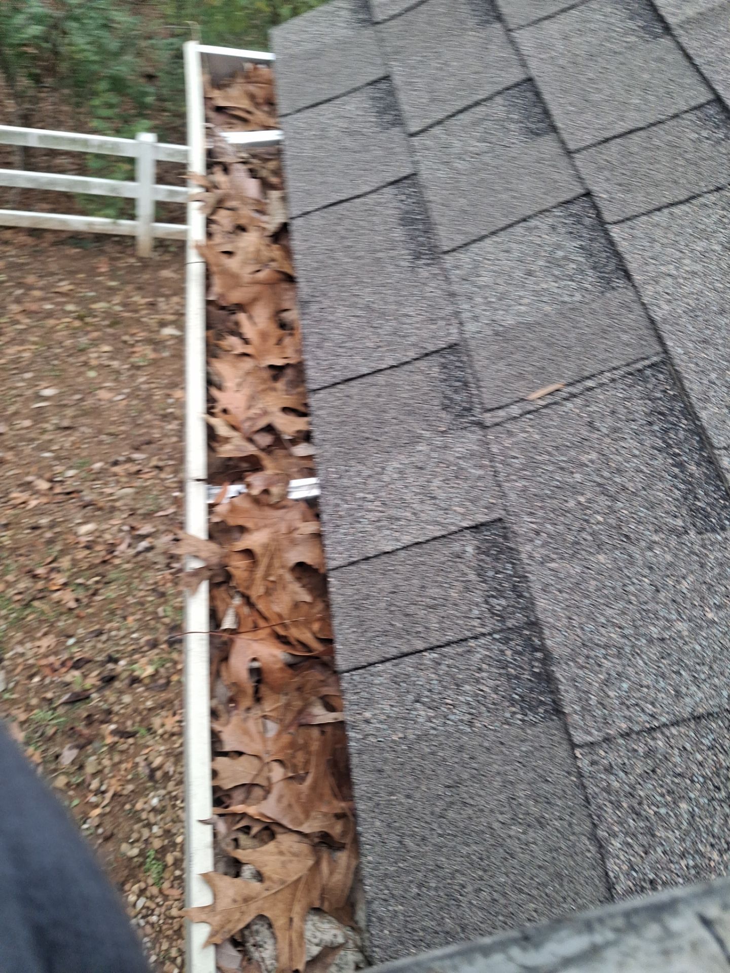 HOA gutter cleaning before photo