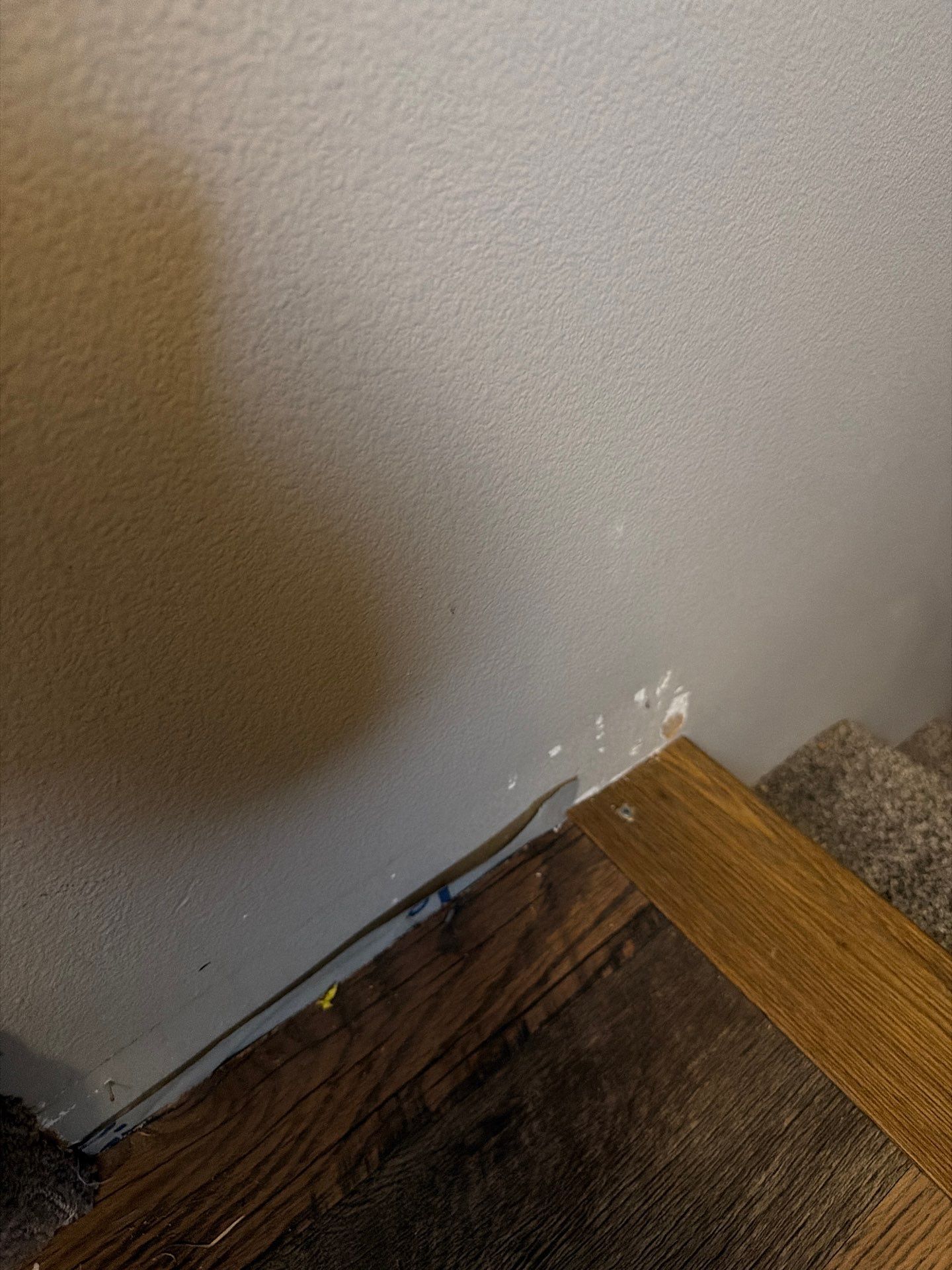 Full Residential Interior Painting and Wall Refresh in Sioux Falls by Select Painting, Coatings & Garage Cabinets