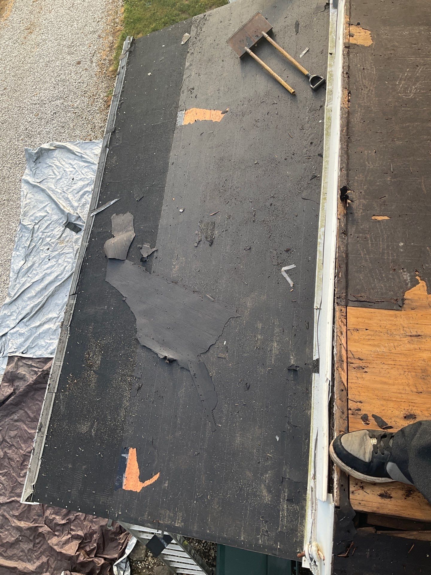 Alpha Rib, Color, Black by Eagle Eye Roofing