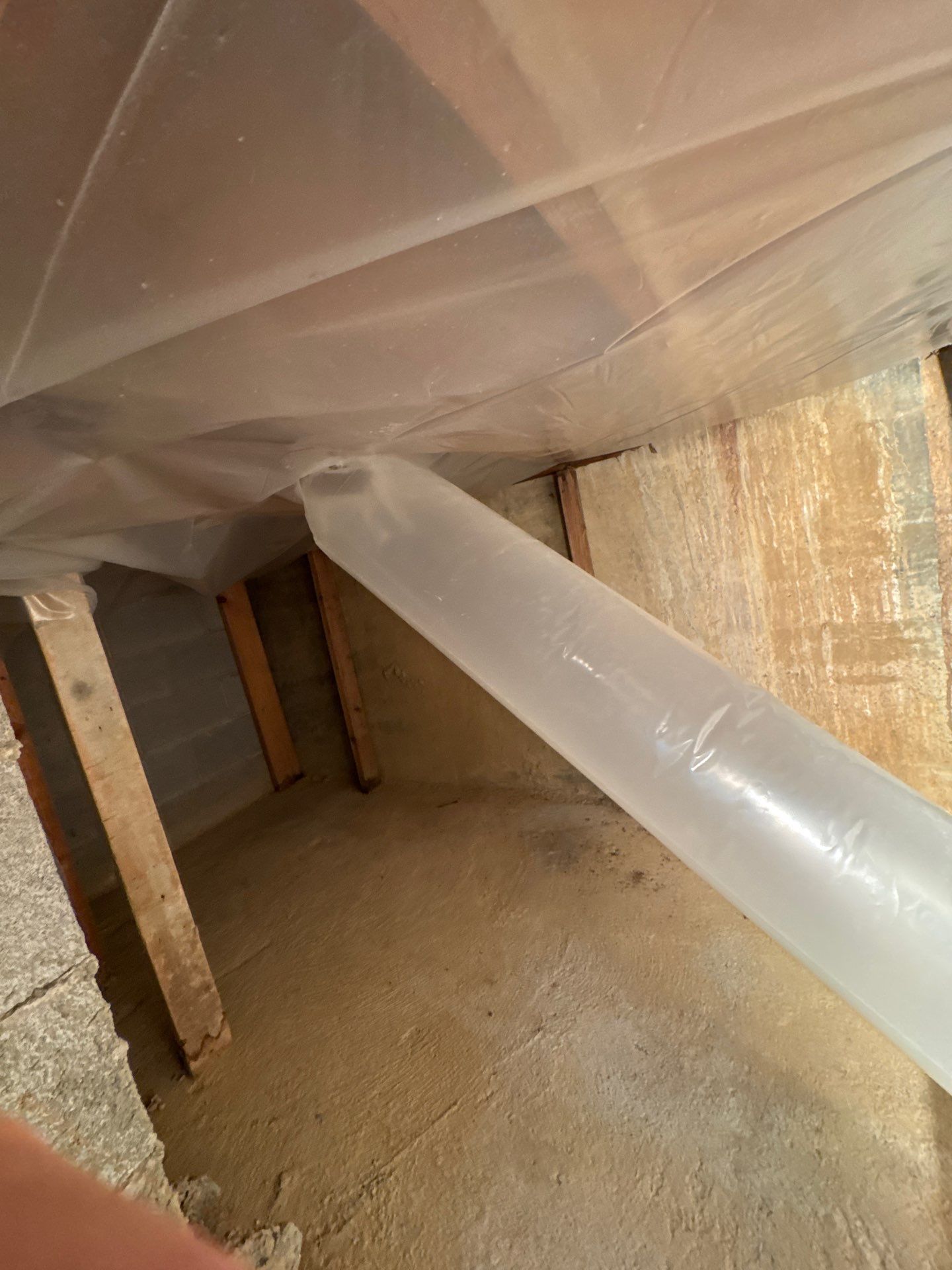 Basement Remediation by ANR Restoration