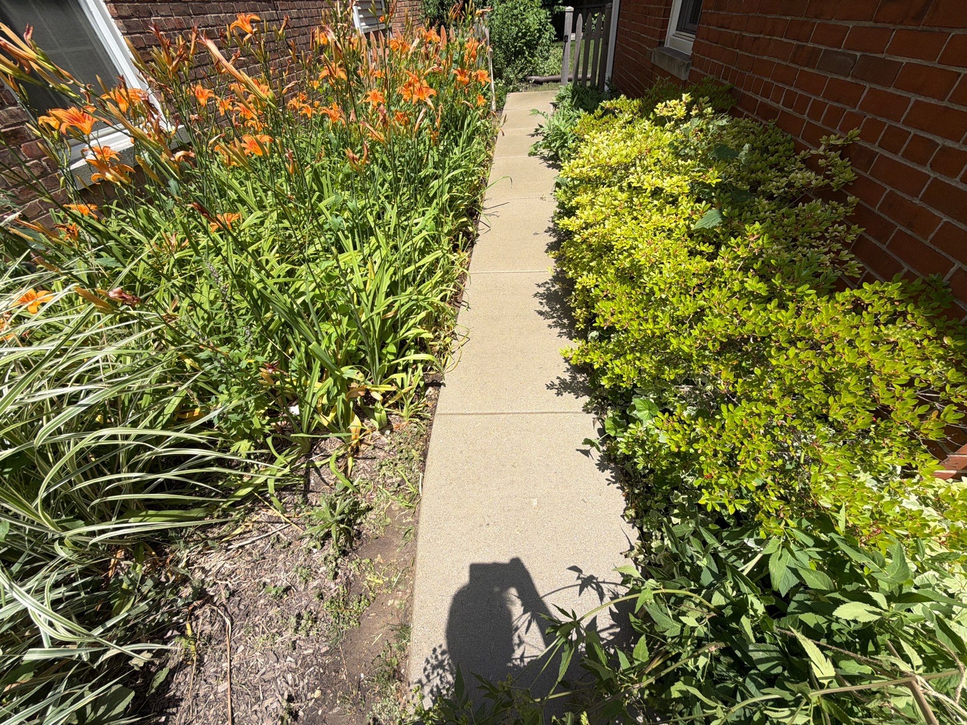 Brick Paver cleaning, sanding, seal by Northern Power Washing LLC.