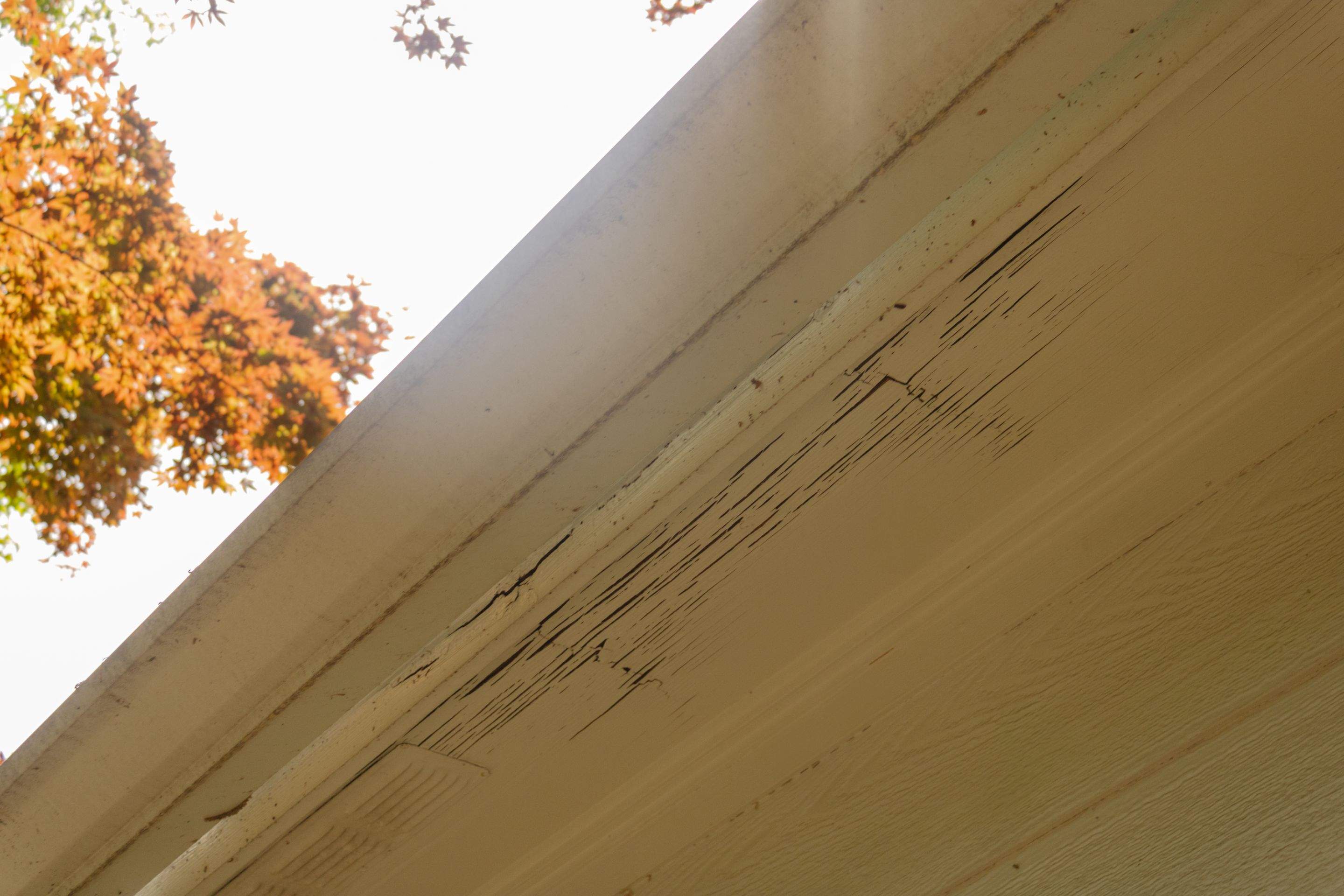Alpharetta, GA Siding & Exterior Painting with Black Trim Before & After by Nelson Exteriors