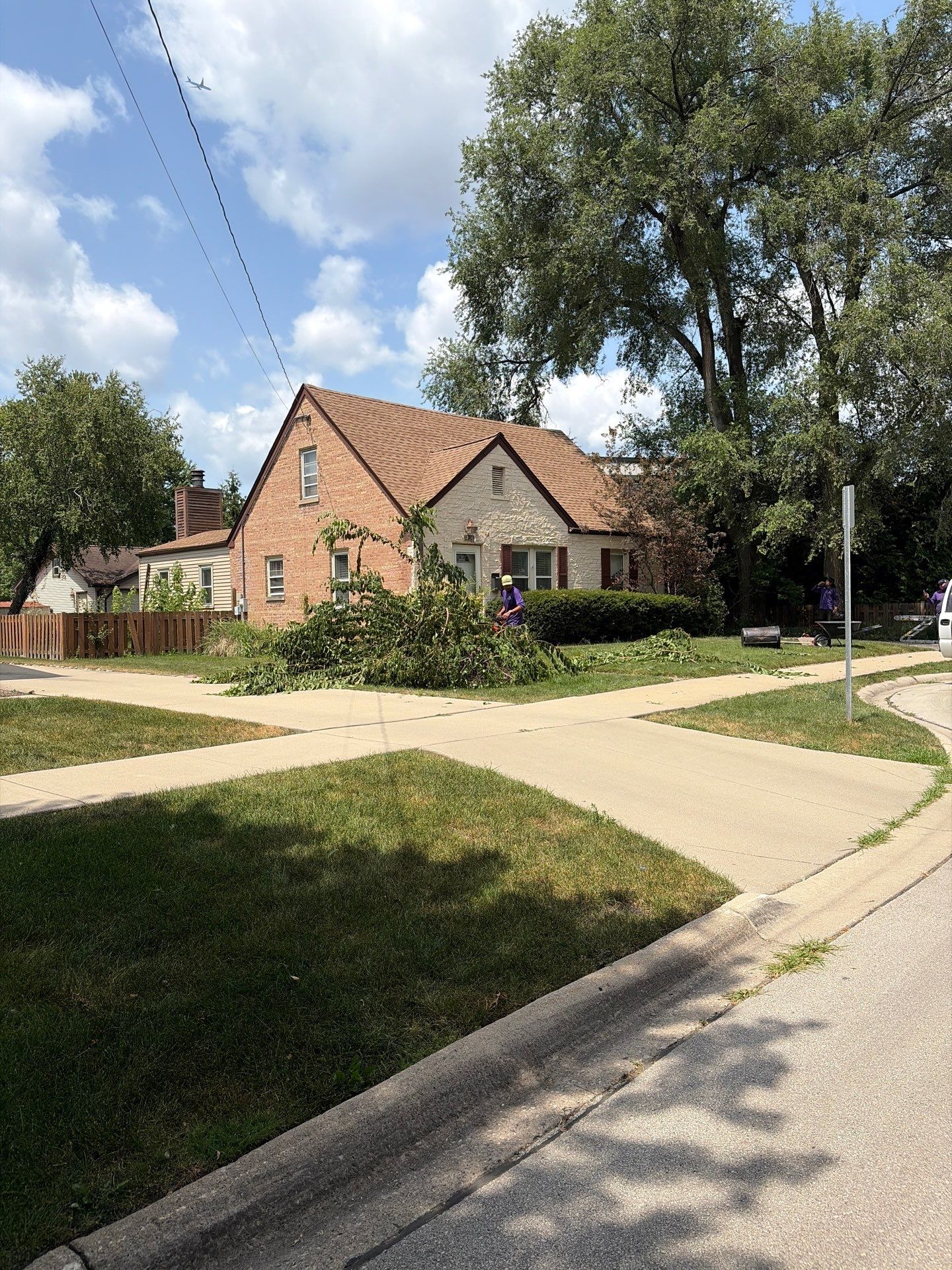 Sean D. - Arlington Heights, IL by A&N