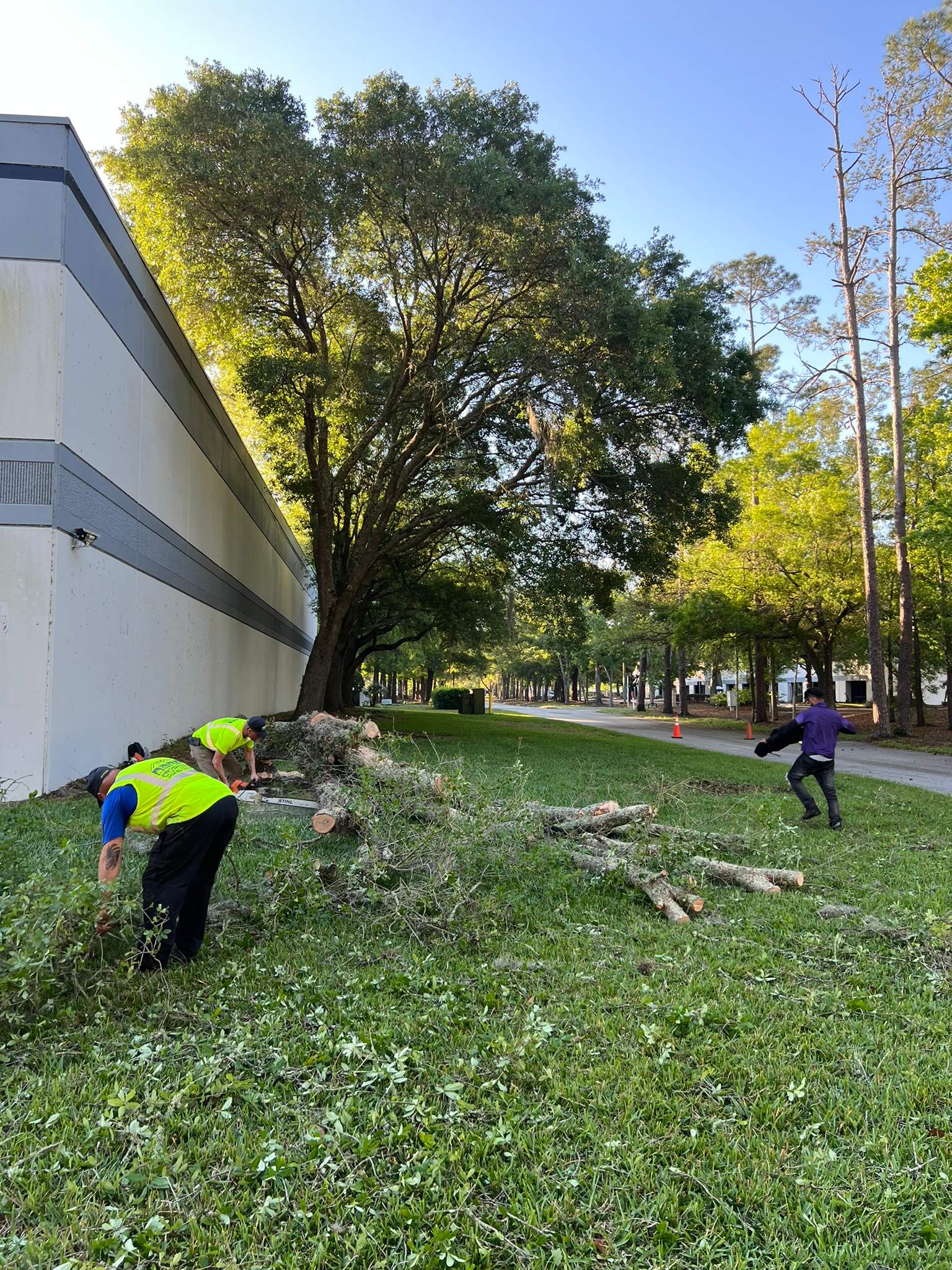 Tree Work | Autobahn Raceway by ProGreen Services