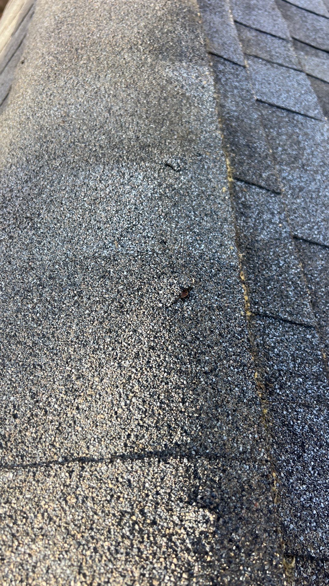 Project by Roof Maxx of Midlothian by Roof Maxx of Midlothian