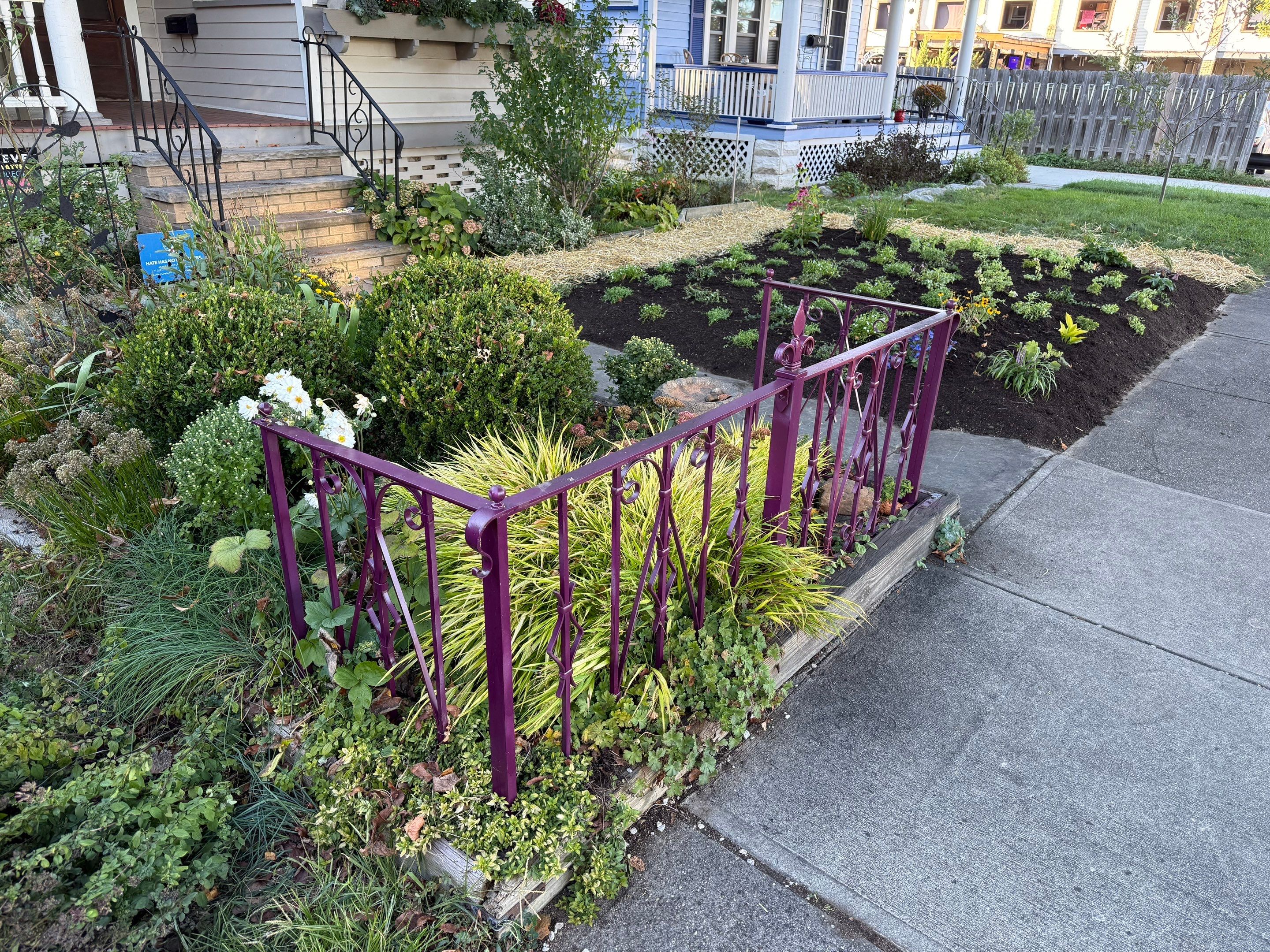 Purple Fence Project by Elm Rose Gardens