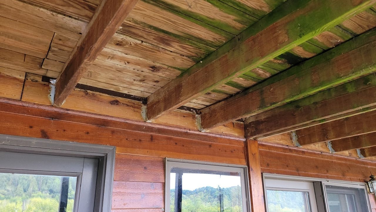 Pool  by Back To Nature Landscaping & Construction