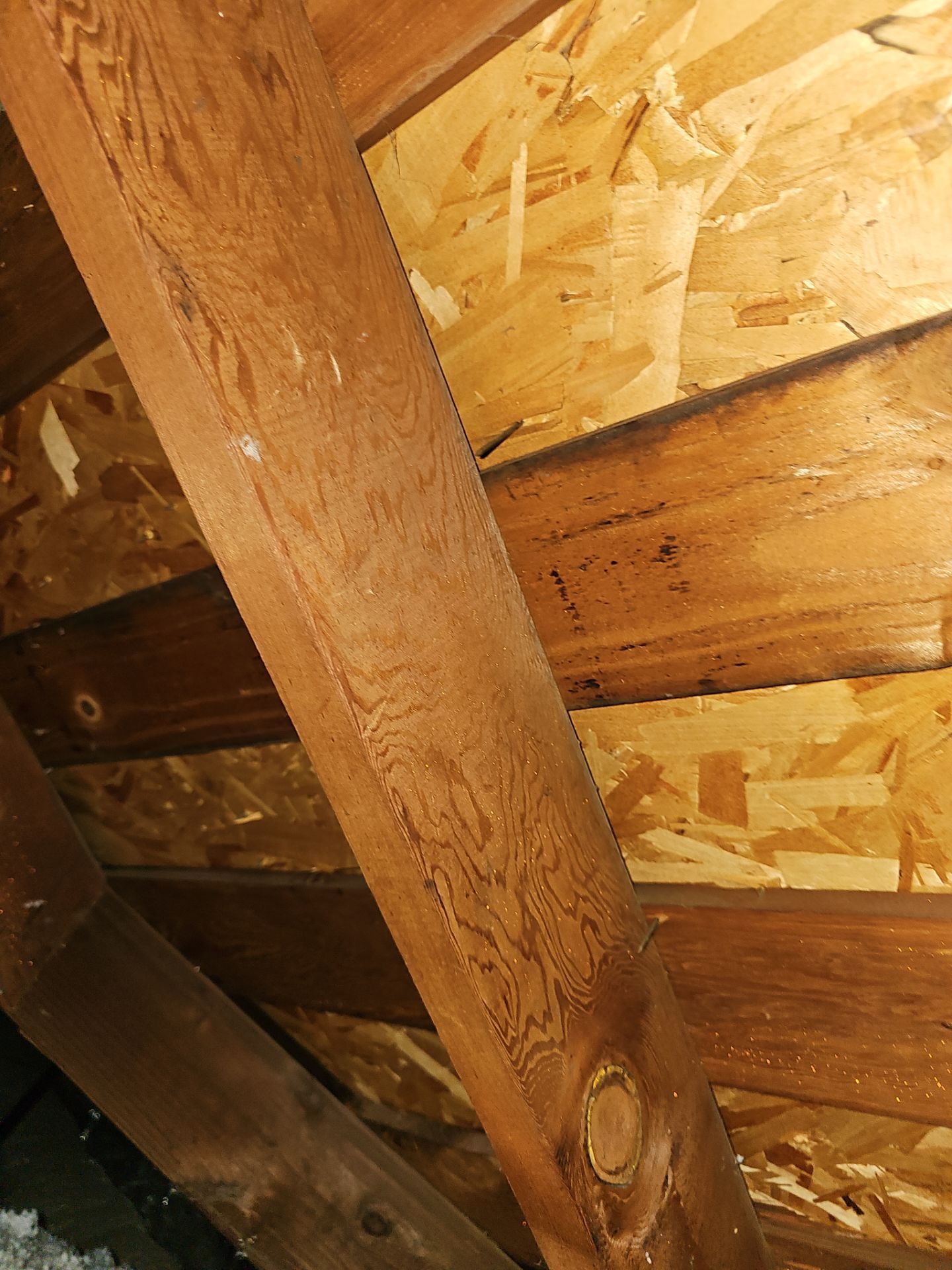 Reroof - Station Ave, Atwater by Econo Roofing