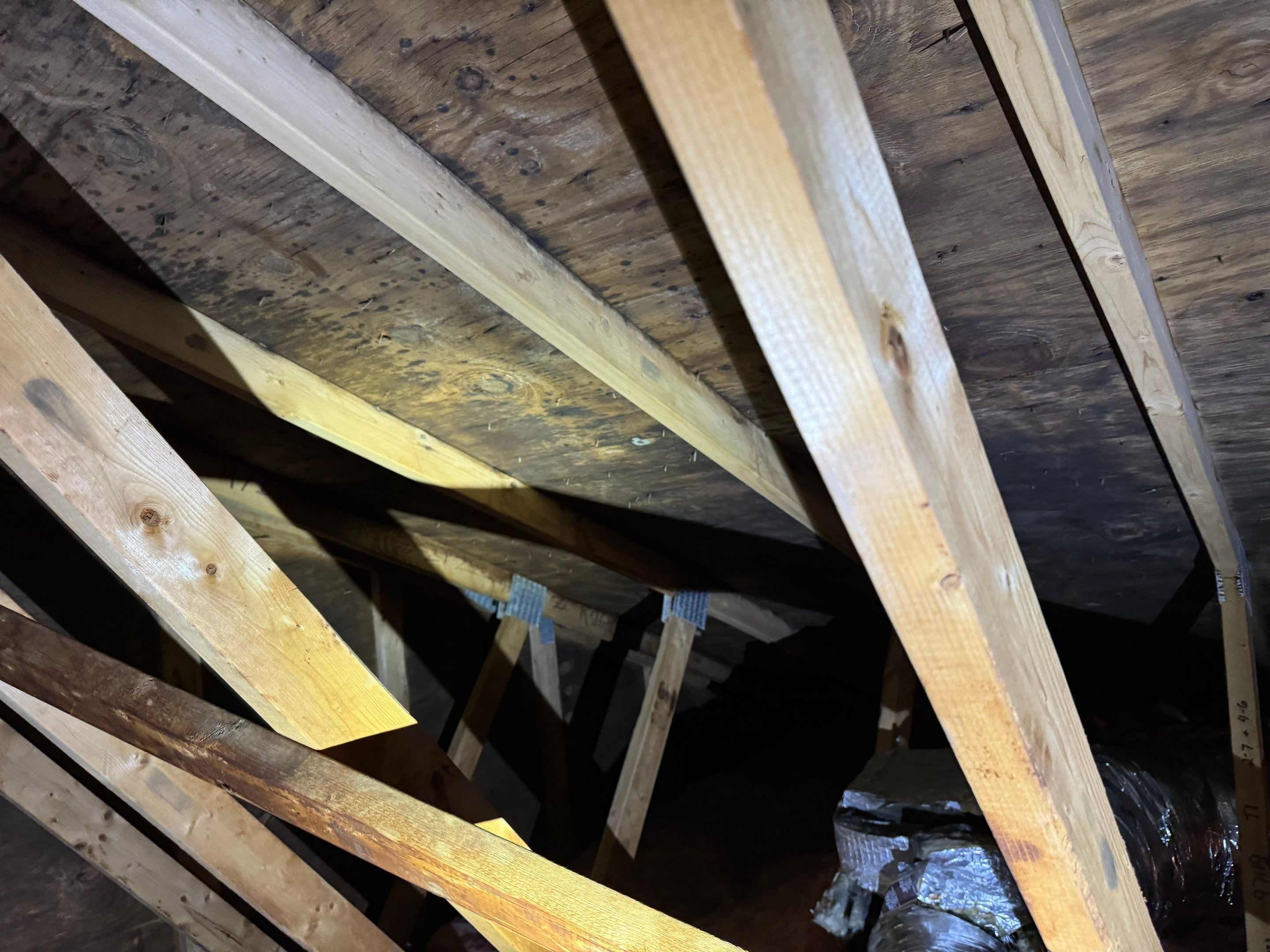 Attic Mold Remediation by Home Guarantee, LLC