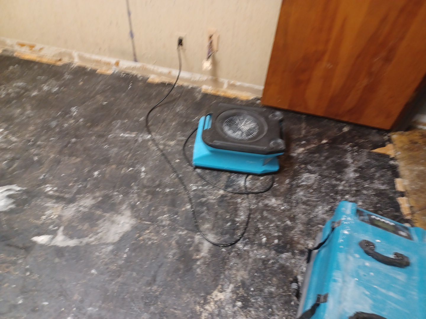 Project in Royal Oak by EzDry Water Mitigation & Property Restoration