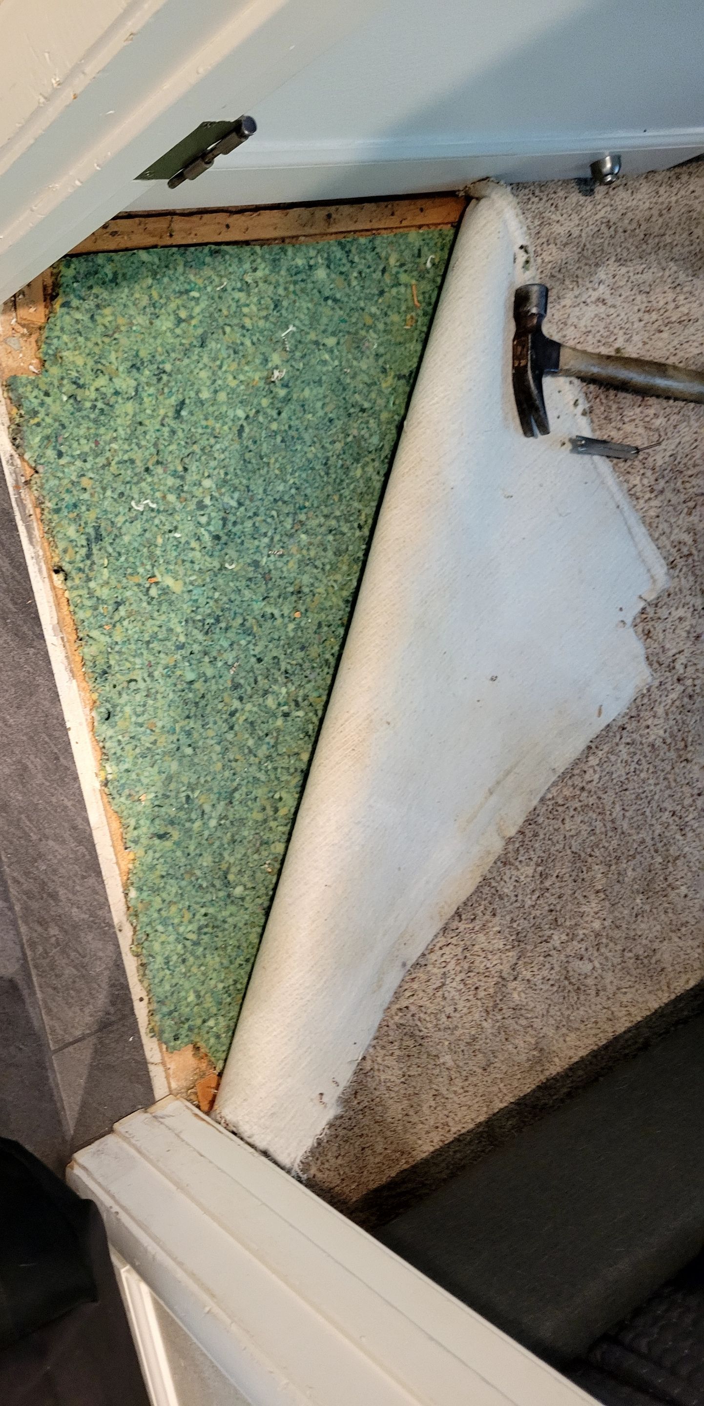 Carpet to Tile Transitions for New Flooring by Ardent Carpet Restore LLC